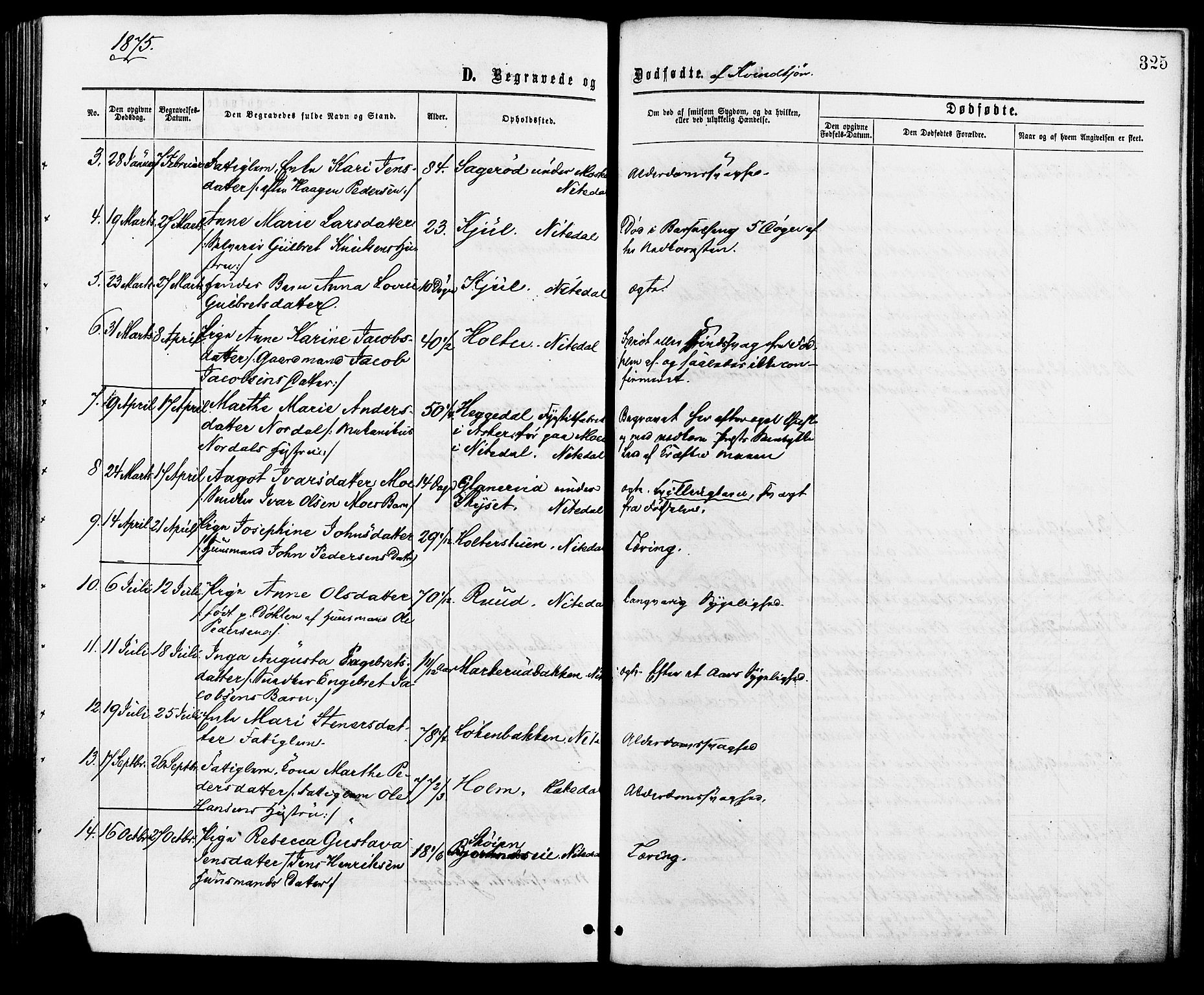 Nittedal prestekontor Kirkebøker, AV/SAO-A-10365a/F/Fa/L0006: Parish register (official) no. I 6, 1863-1878, p. 325