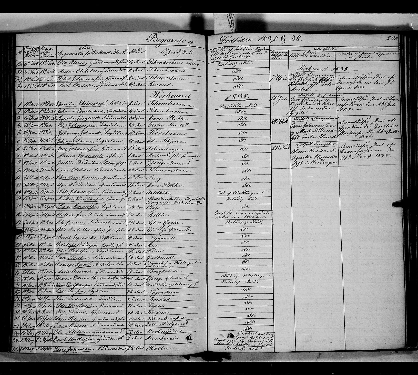 Vardal prestekontor, SAH/PREST-100/H/Ha/Haa/L0005: Parish register (official) no. 5, 1831-1853, p. 250