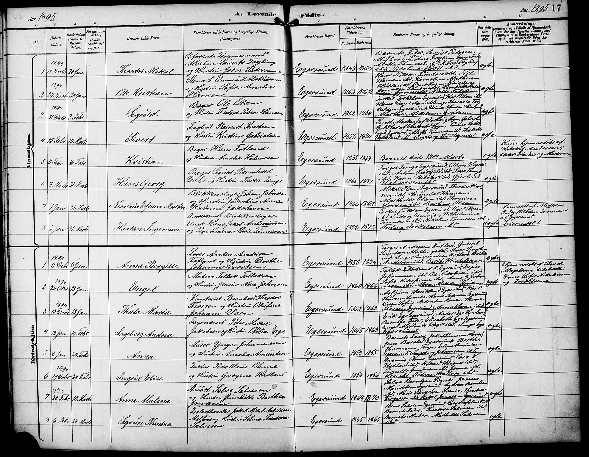 Eigersund sokneprestkontor, SAST/A-101807/S09/L0010: Parish register (copy) no. B 10, 1893-1907, p. 17