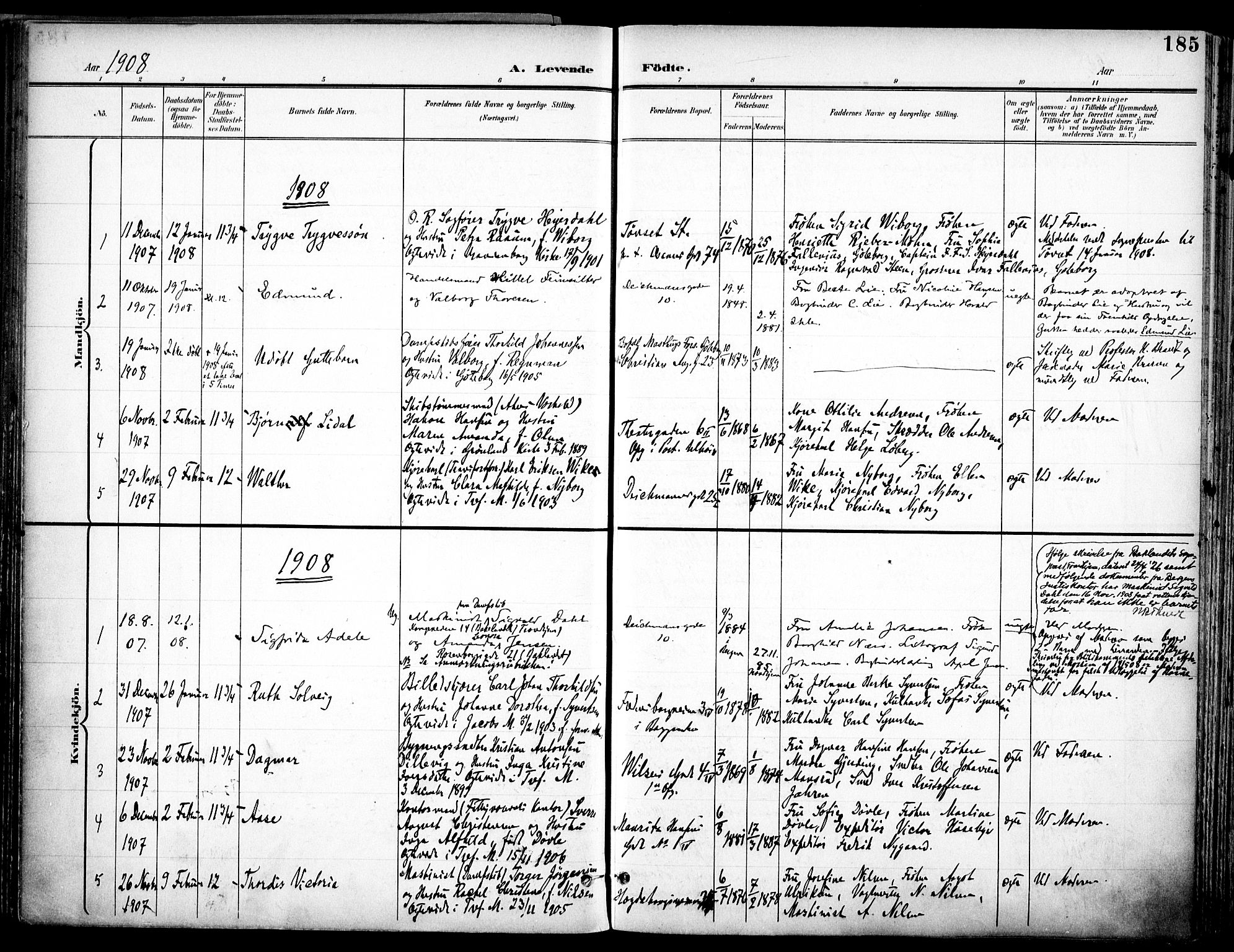 Trefoldighet prestekontor Kirkebøker, SAO/A-10882/F/Fa/L0007: Parish register (official) no. I 7, 1900-1914, p. 185