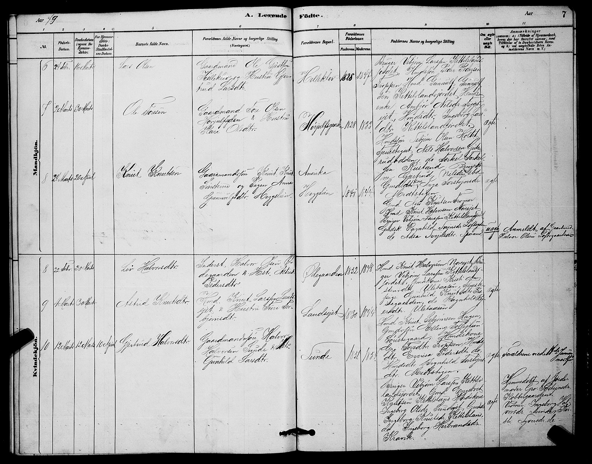 Nore kirkebøker, AV/SAKO-A-238/G/Ga/L0002: Parish register (copy) no. I 2, 1878-1885, p. 7