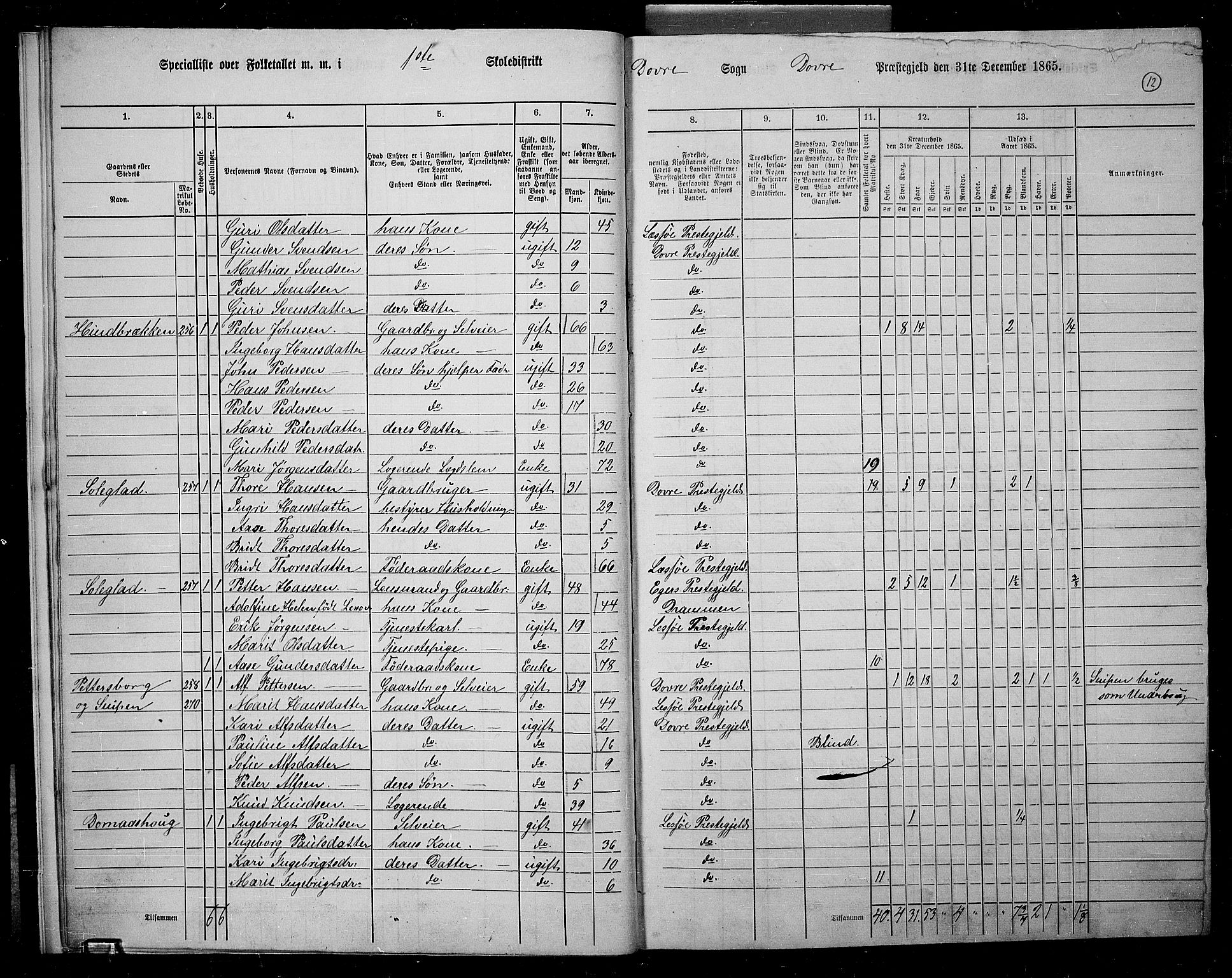 RA, 1865 census for Dovre, 1865, p. 13