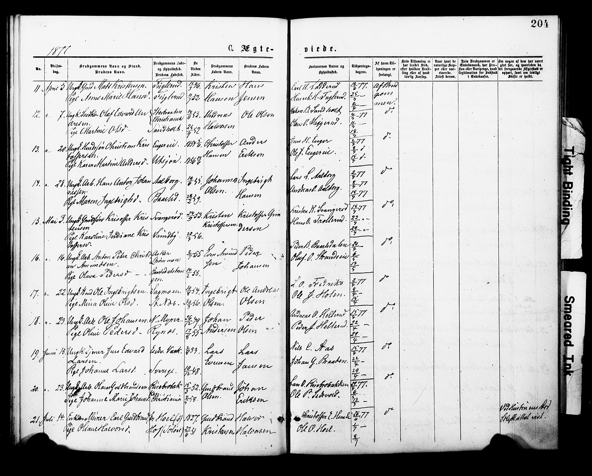 Eidsvoll prestekontor Kirkebøker, AV/SAO-A-10888/F/Fa/L0001: Parish register (official) no. I 1, 1877-1881, p. 204