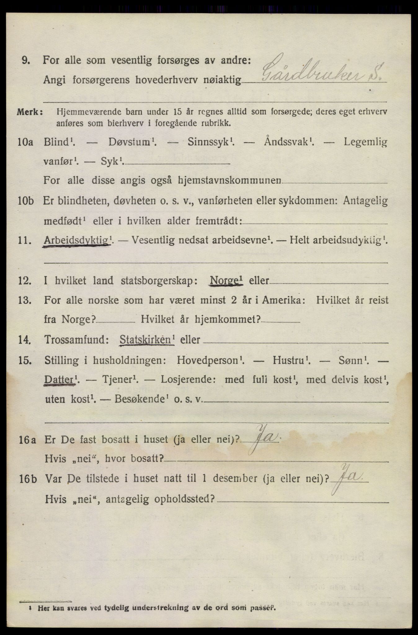 SAKO, 1920 census for Brunlanes, 1920, p. 3848