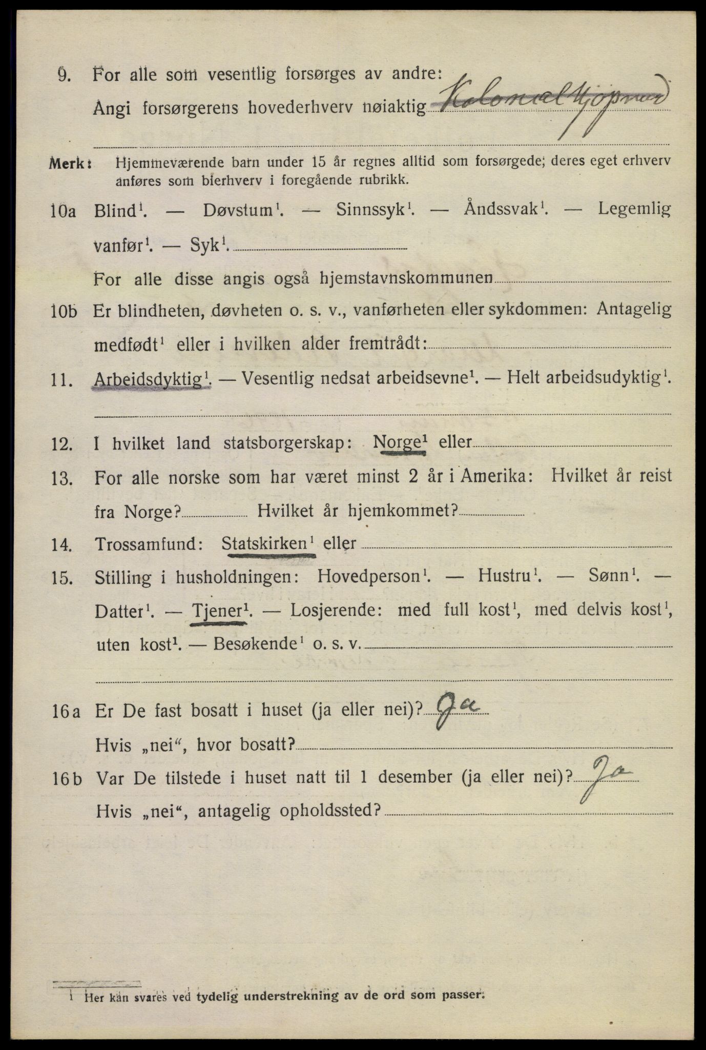 SAKO, 1920 census for Hønefoss, 1920, p. 2447