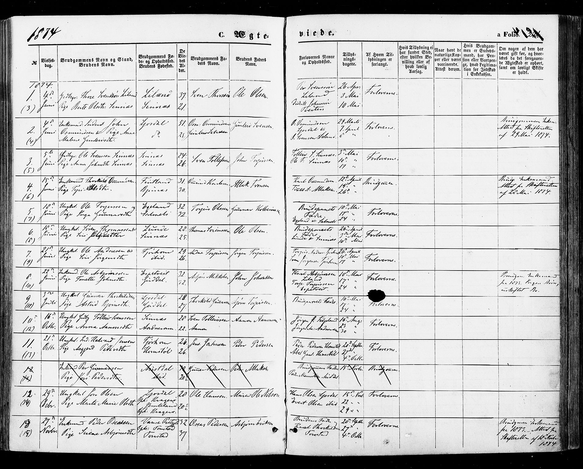 Sirdal sokneprestkontor, SAK/1111-0036/F/Fa/Fab/L0003: Parish register (official) no. A 3, 1874-1886, p. 226