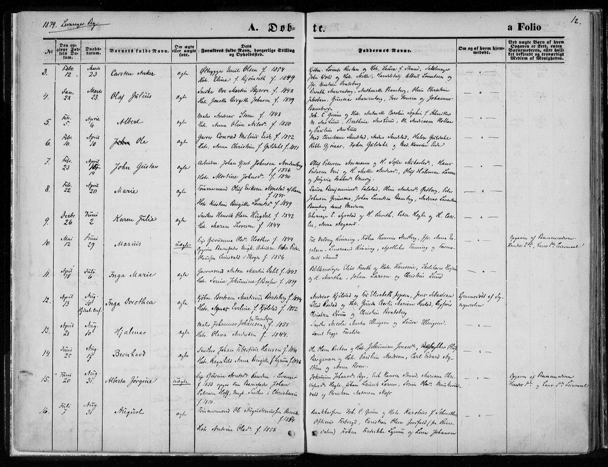 Ministerialprotokoller, klokkerbøker og fødselsregistre - Nord-Trøndelag, SAT/A-1458/720/L0187: Parish register (official) no. 720A04 /1, 1875-1879, p. 12
