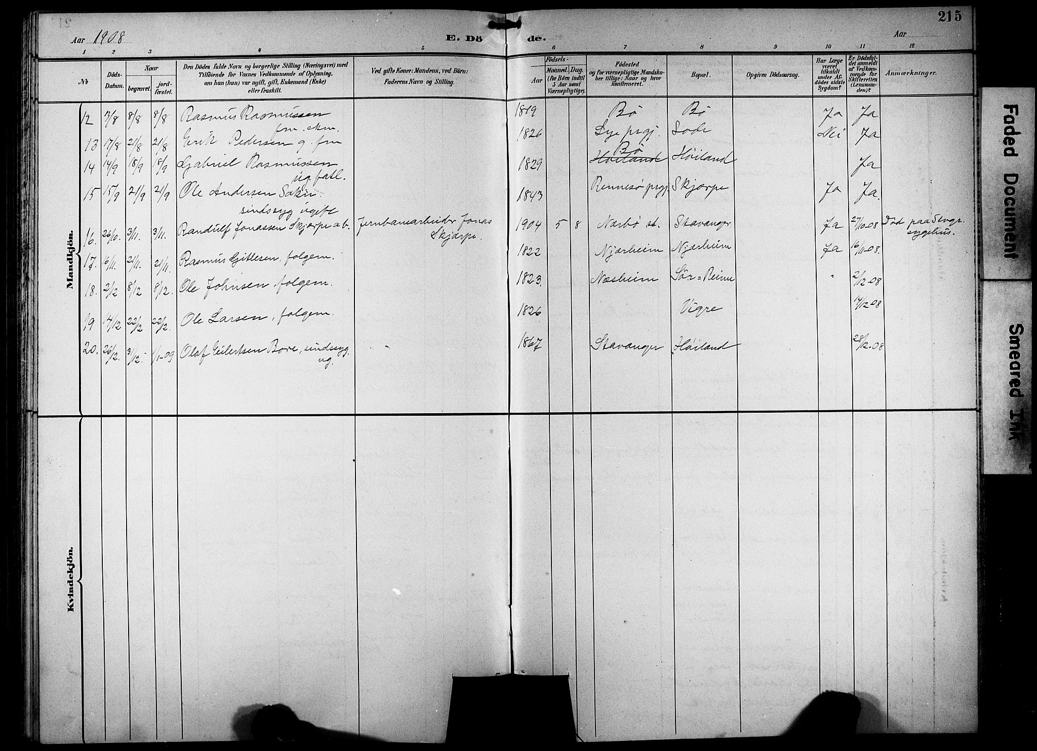 Hå sokneprestkontor, AV/SAST-A-101801/001/30BB/L0005: Parish register (copy) no. B 5, 1894-1912, p. 215