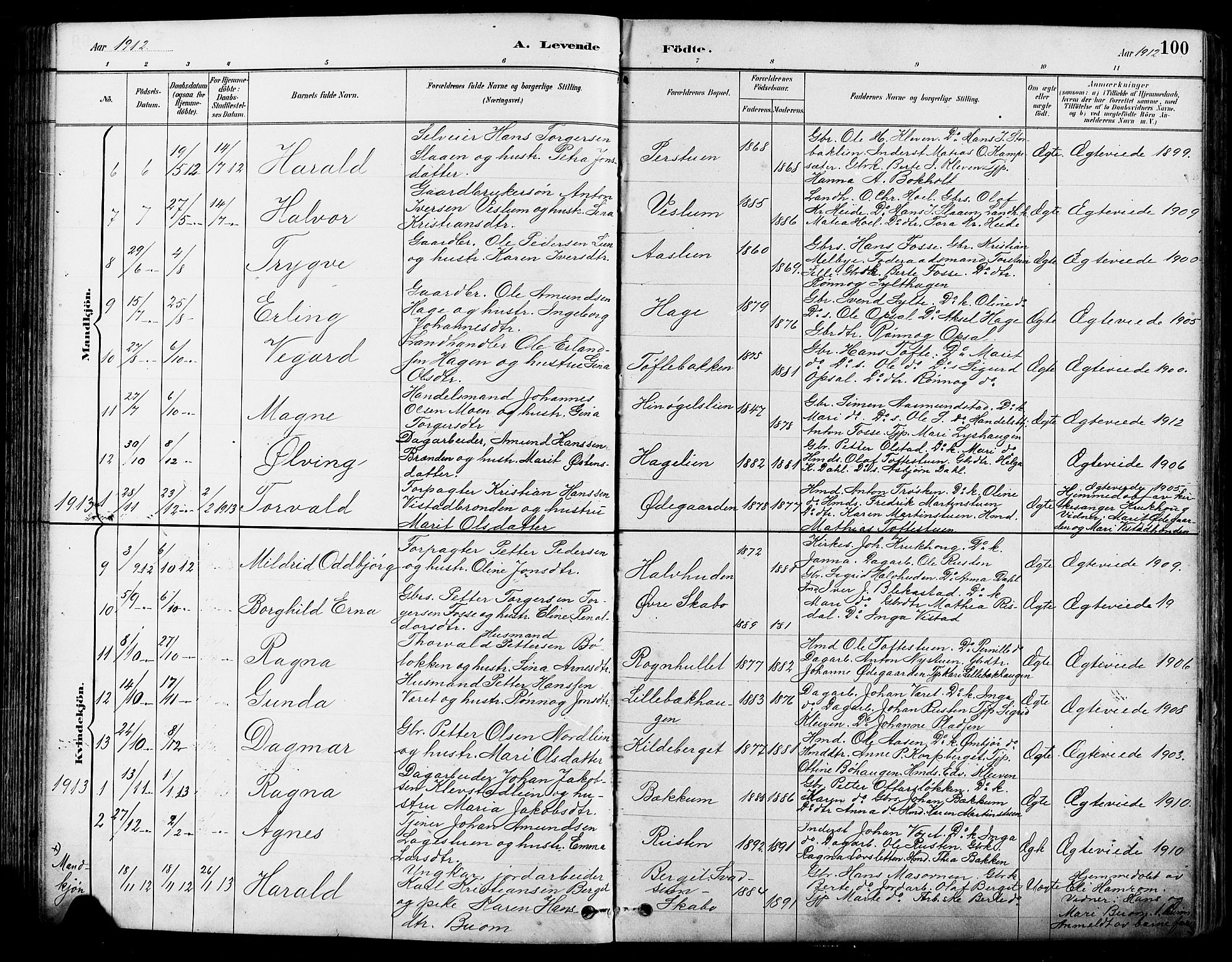 Nord-Fron prestekontor, SAH/PREST-080/H/Ha/Hab/L0005: Parish register (copy) no. 5, 1884-1914, p. 100