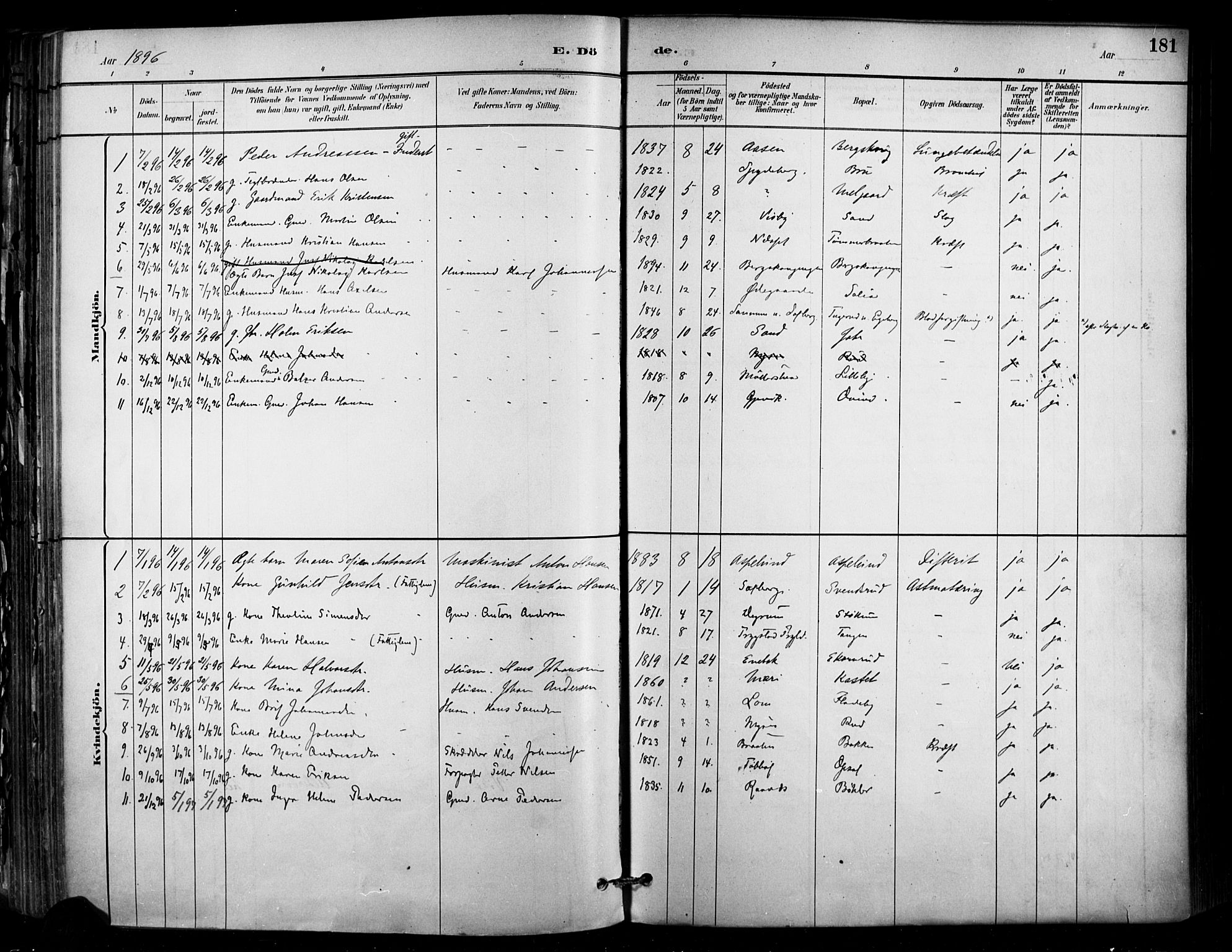 Enebakk prestekontor Kirkebøker, SAO/A-10171c/F/Fa/L0016: Parish register (official) no. I 16, 1883-1898, p. 181