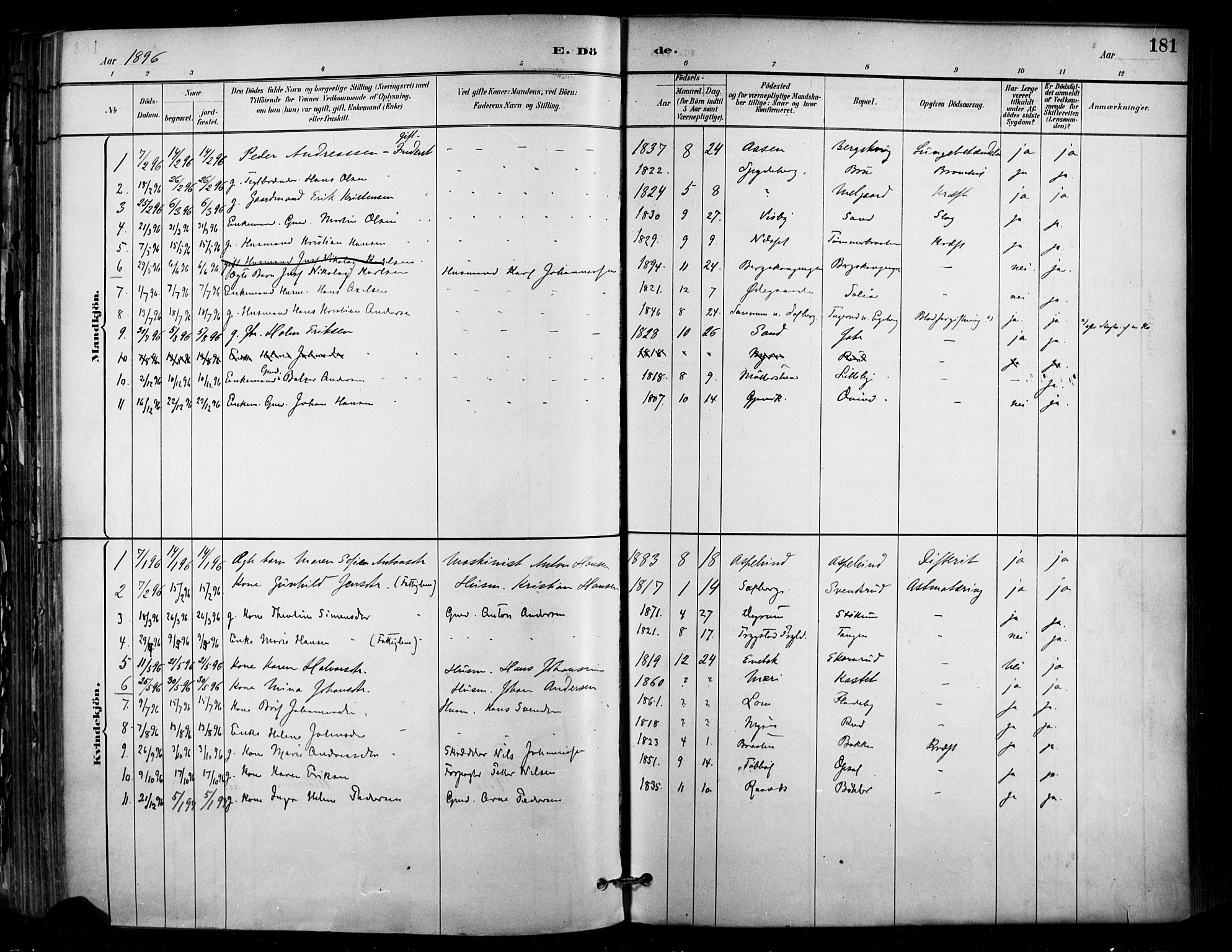 Enebakk prestekontor Kirkebøker, AV/SAO-A-10171c/F/Fa/L0016: Parish register (official) no. I 16, 1883-1898, p. 181
