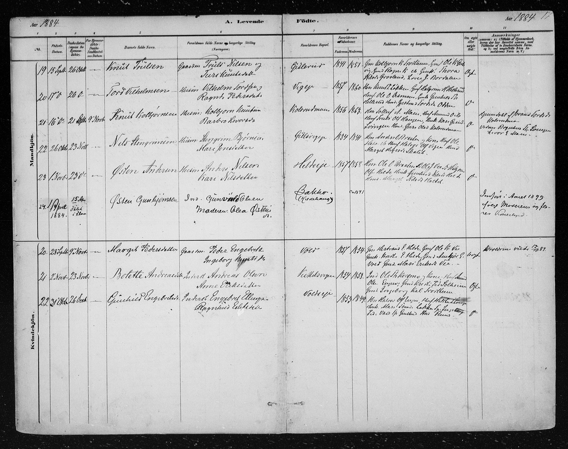 Nes kirkebøker, AV/SAKO-A-236/F/Fa/L0012: Parish register (official) no. 12, 1881-1917, p. 17