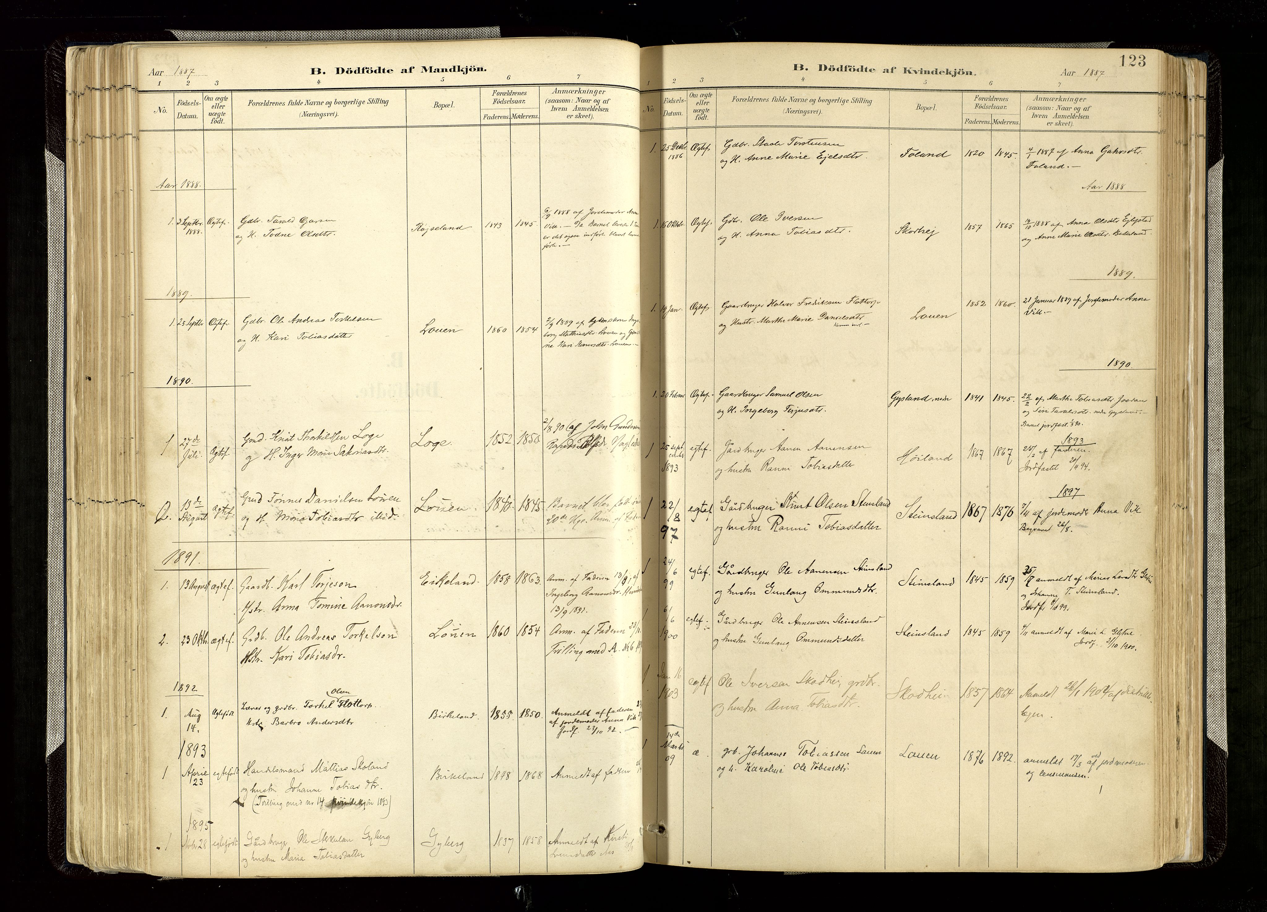 Hægebostad sokneprestkontor, AV/SAK-1111-0024/F/Fa/Faa/L0006: Parish register (official) no. A 6, 1887-1929, p. 123