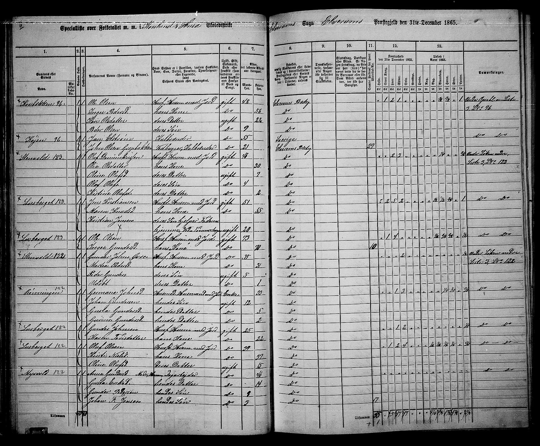 RA, 1865 census for Elverum, 1865, p. 43