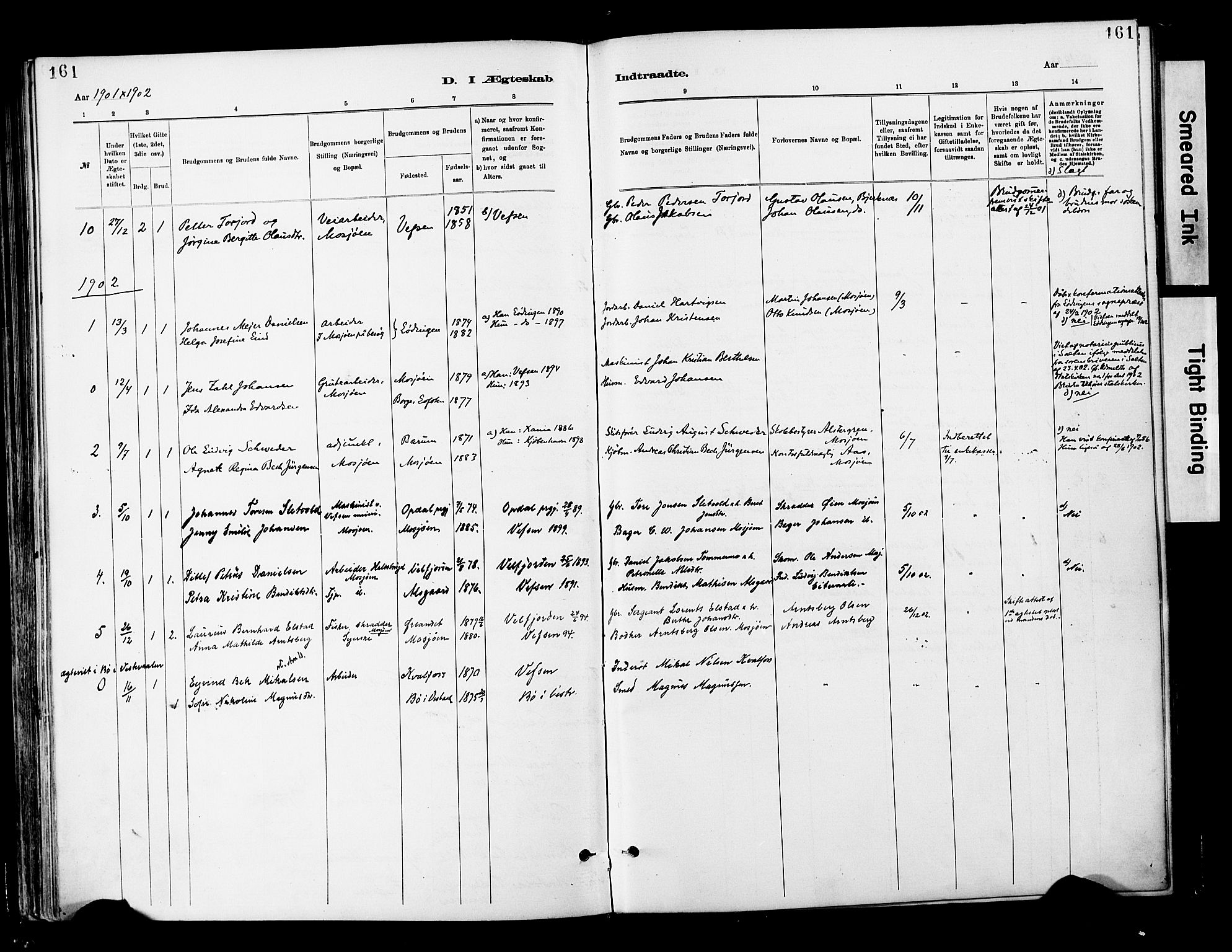 Ministerialprotokoller, klokkerbøker og fødselsregistre - Nordland, AV/SAT-A-1459/820/L0296: Parish register (official) no. 820A17, 1880-1903, p. 161