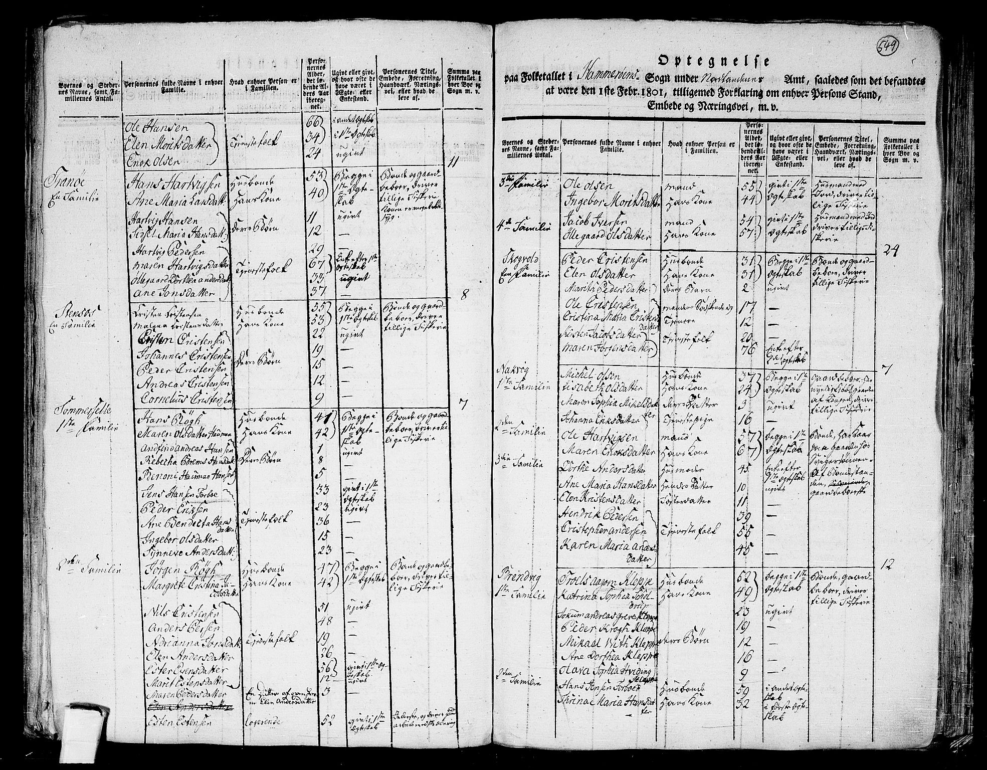 RA, 1801 census for 1848P Steigen, 1801, p. 548b-549a