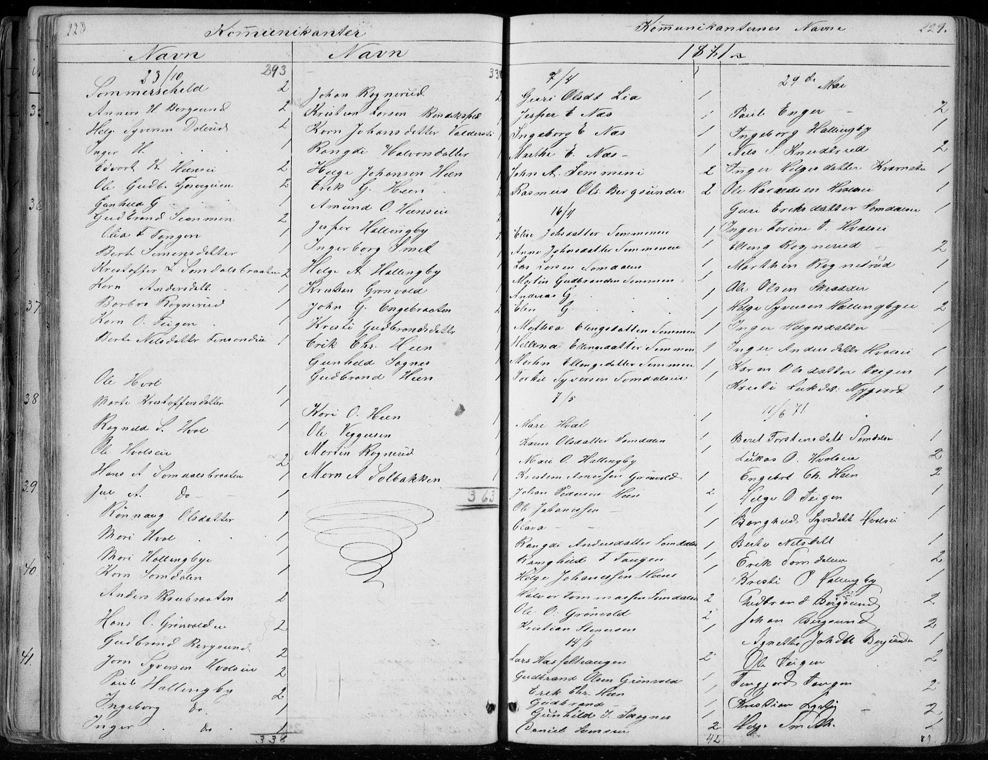Ådal kirkebøker, SAKO/A-248/G/Gc/L0001: Parish register (copy) no. III 1, 1862-1898, p. 228-229