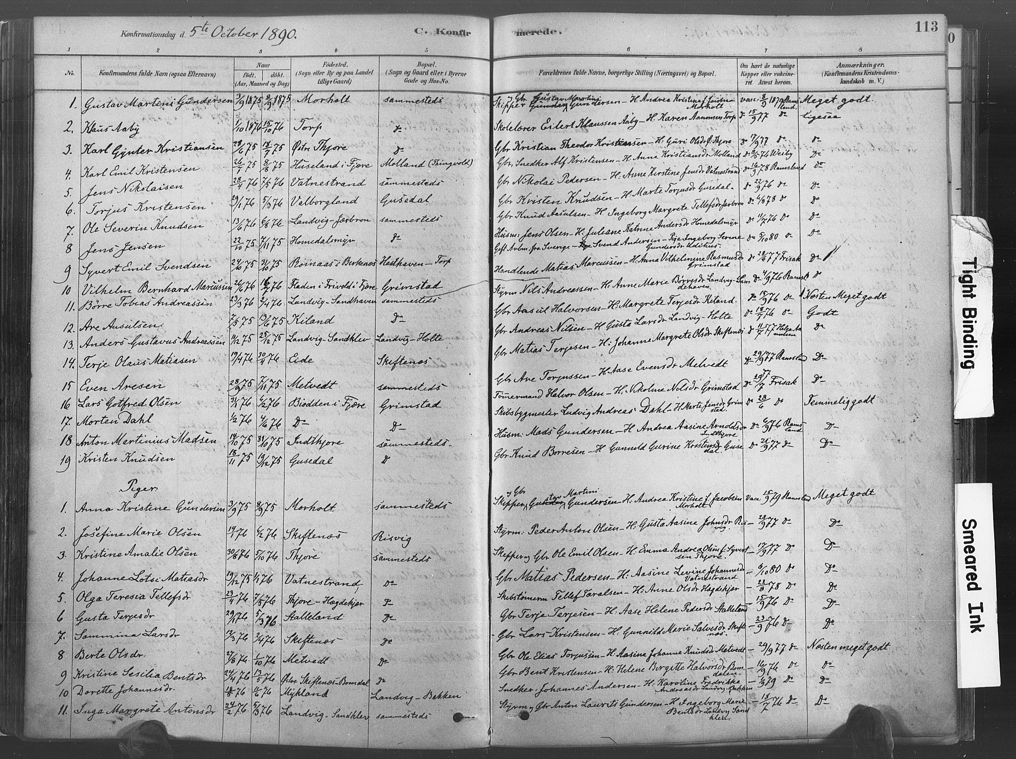 Hommedal sokneprestkontor, AV/SAK-1111-0023/F/Fa/Fab/L0006: Parish register (official) no. A 6, 1878-1897, p. 113