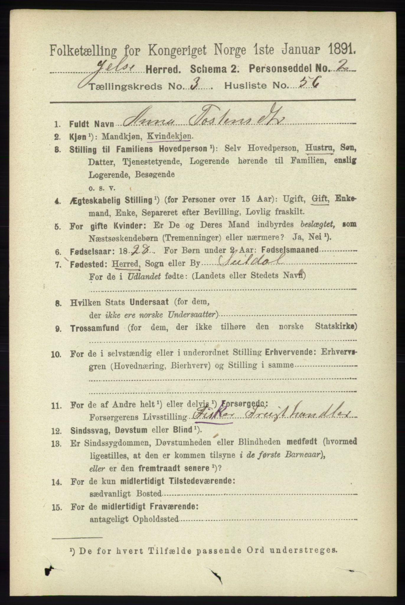 RA, 1891 census for 1138 Jelsa, 1891, p. 631