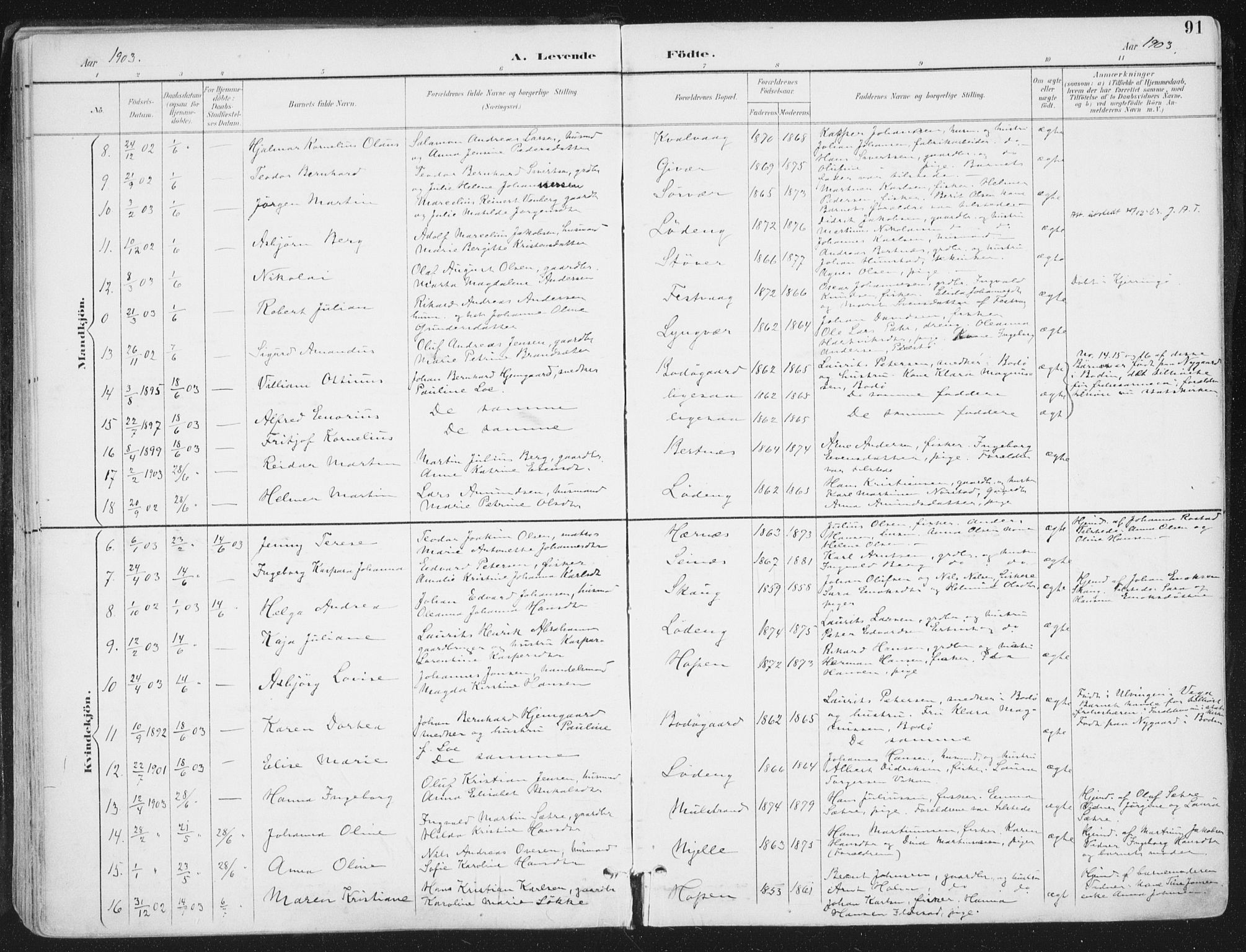 Ministerialprotokoller, klokkerbøker og fødselsregistre - Nordland, AV/SAT-A-1459/802/L0055: Parish register (official) no. 802A02, 1894-1915, p. 91