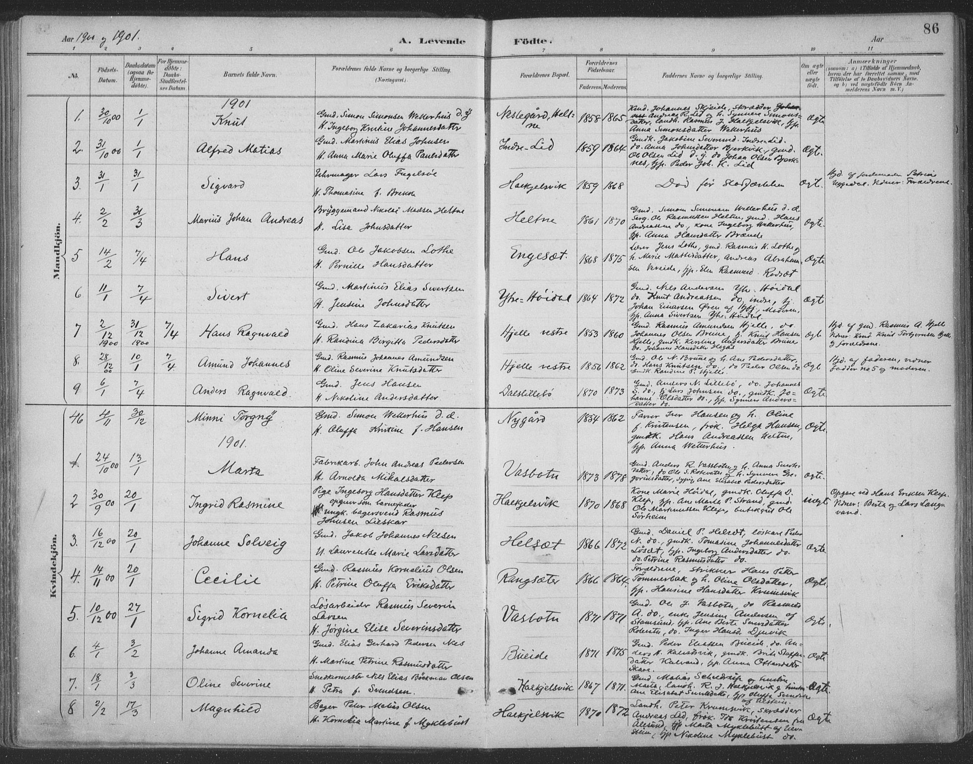 Ministerialprotokoller, klokkerbøker og fødselsregistre - Møre og Romsdal, AV/SAT-A-1454/511/L0142: Parish register (official) no. 511A09, 1891-1905, p. 86