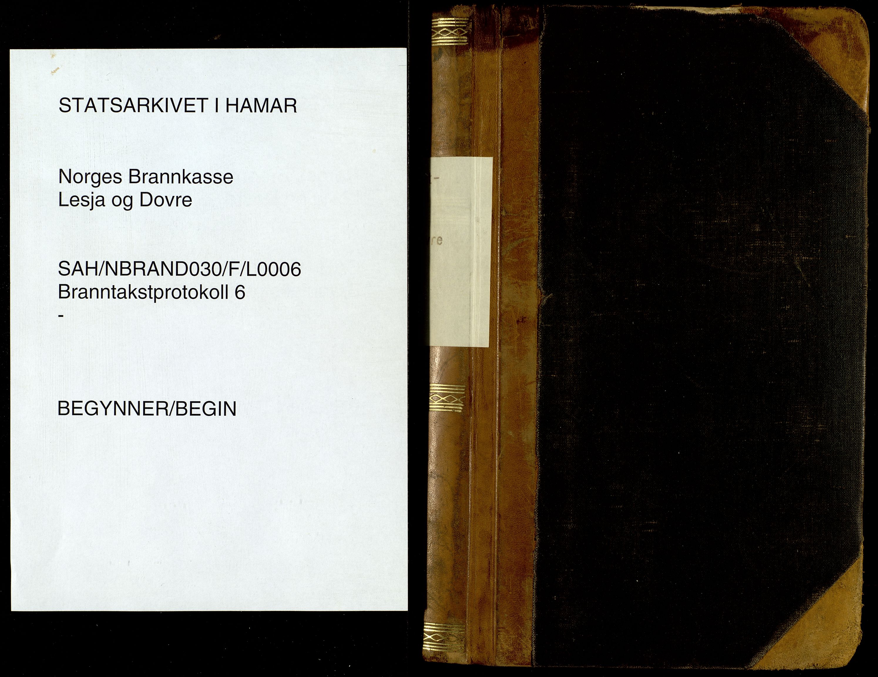 Norges Brannkasse, Lesja og Dovre, AV/SAH-NBRAND-030/F/L0006: Branntakstprotokoll, 1925