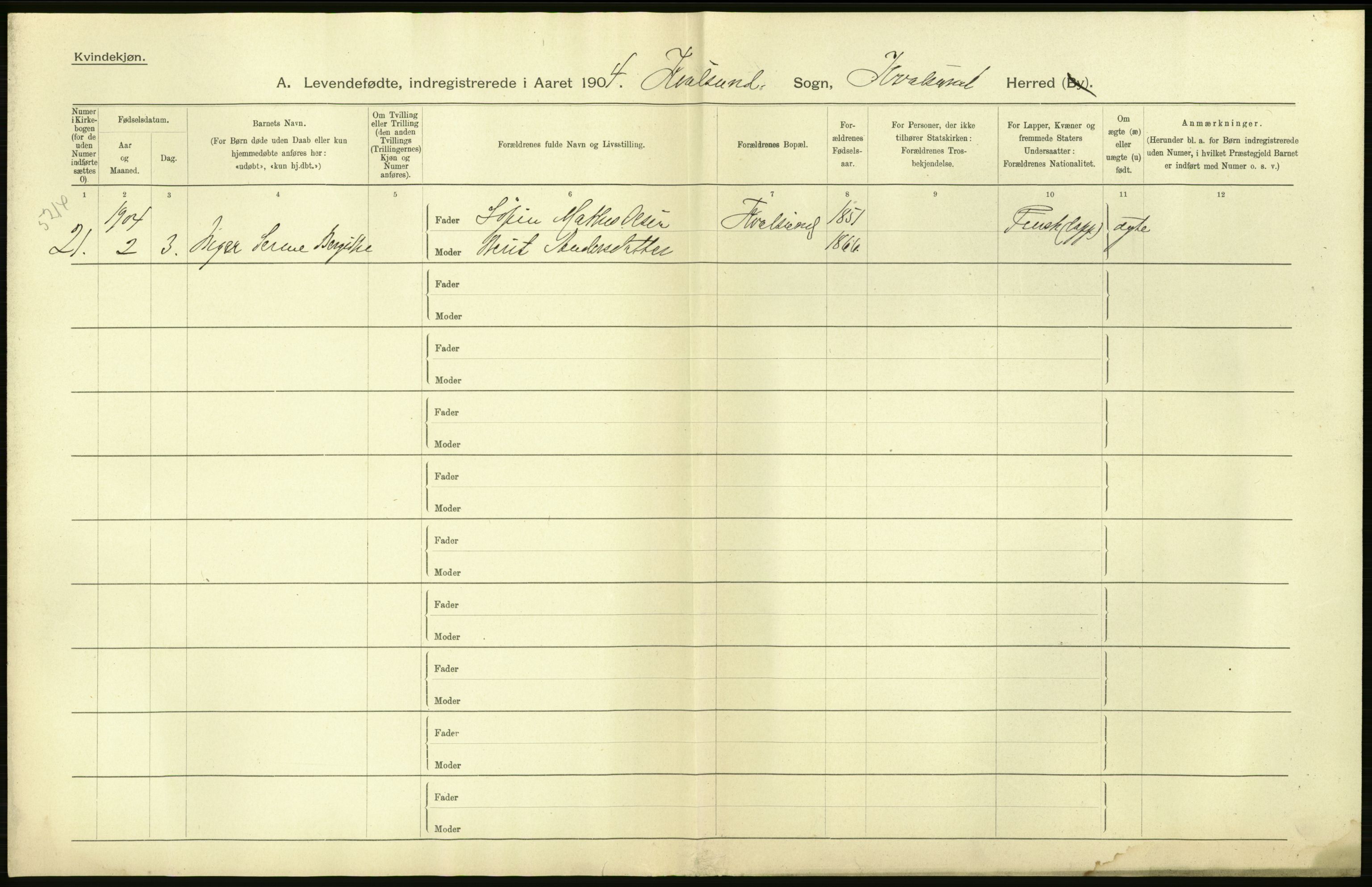 Statistisk sentralbyrå, Sosiodemografiske emner, Befolkning, AV/RA-S-2228/D/Df/Dfa/Dfab/L0023: Finnmarkens amt: Fødte, gifte, døde, 1904, p. 18