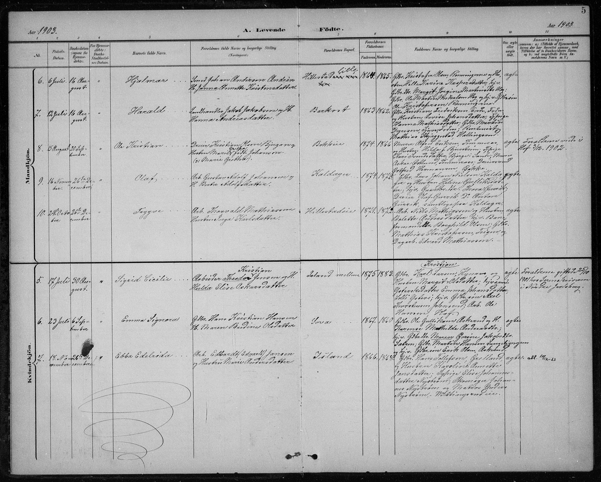 Botne kirkebøker, SAKO/A-340/F/Fb/L0002: Parish register (official) no. II 2, 1902-1915, p. 5