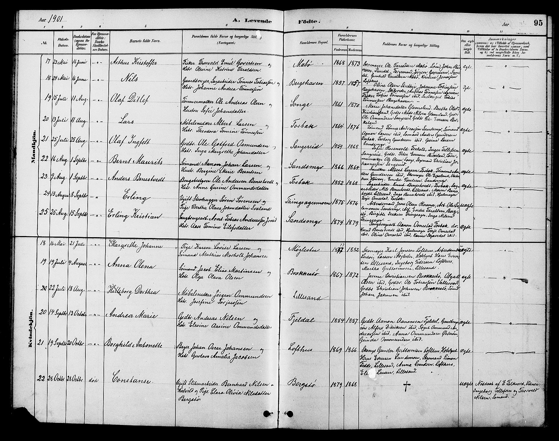 Vestre Moland sokneprestkontor, AV/SAK-1111-0046/F/Fb/Fbb/L0006: Parish register (copy) no. B 6, 1884-1905, p. 95