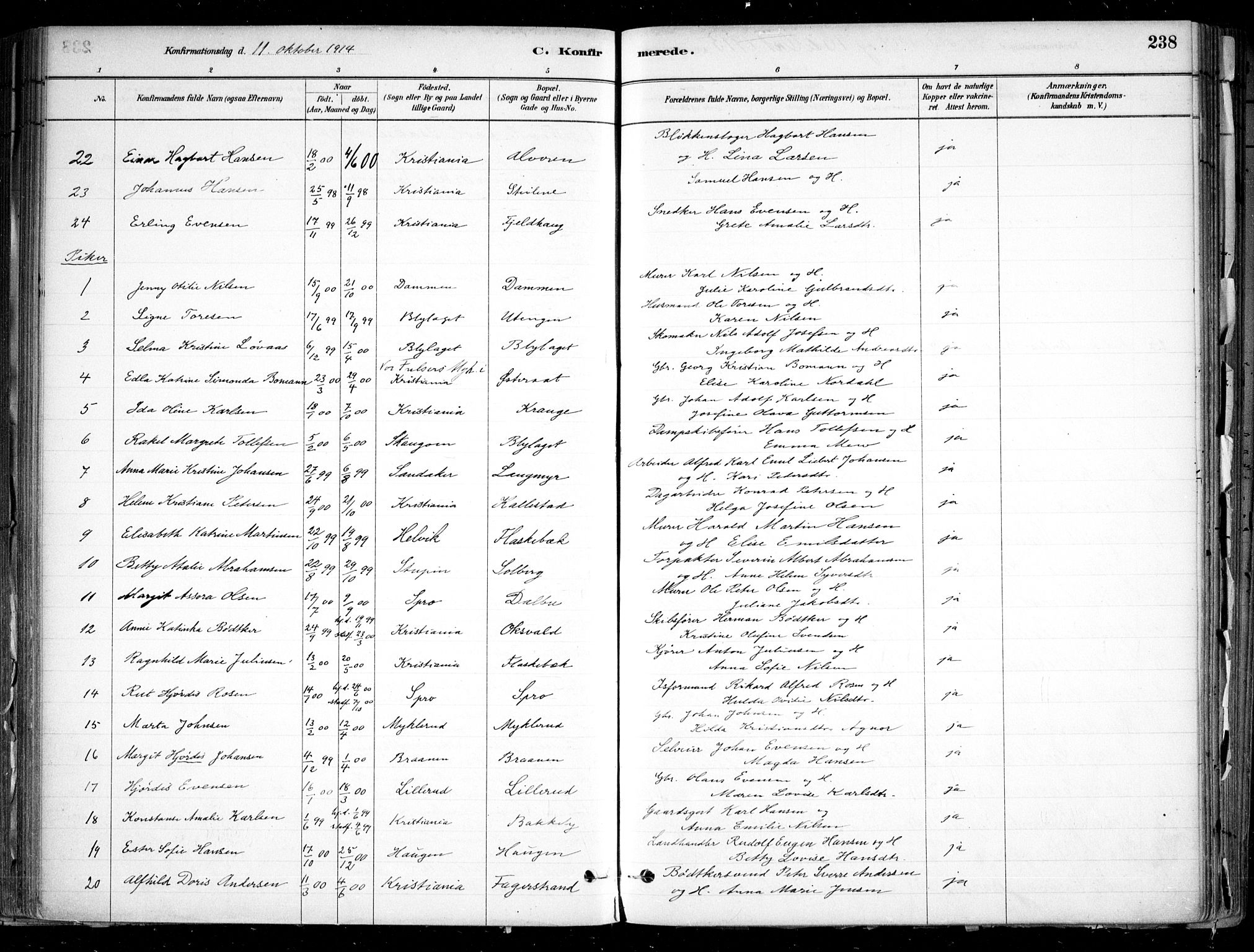 Nesodden prestekontor Kirkebøker, SAO/A-10013/F/Fa/L0009: Parish register (official) no. I 9, 1880-1915, p. 238