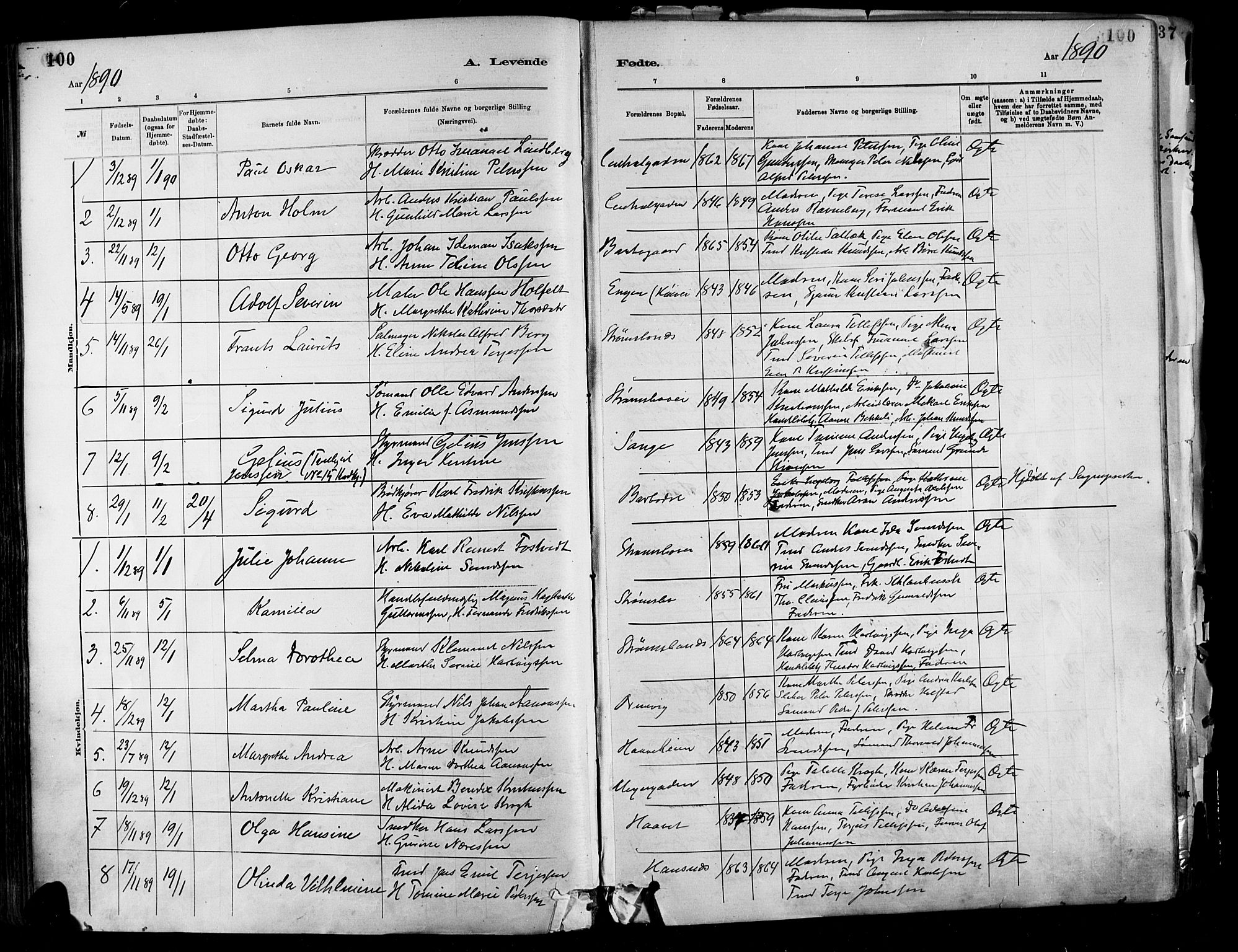 Barbu sokneprestkontor, AV/SAK-1111-0003/F/Fa/L0002: Parish register (official) no. A 2, 1883-1898, p. 100