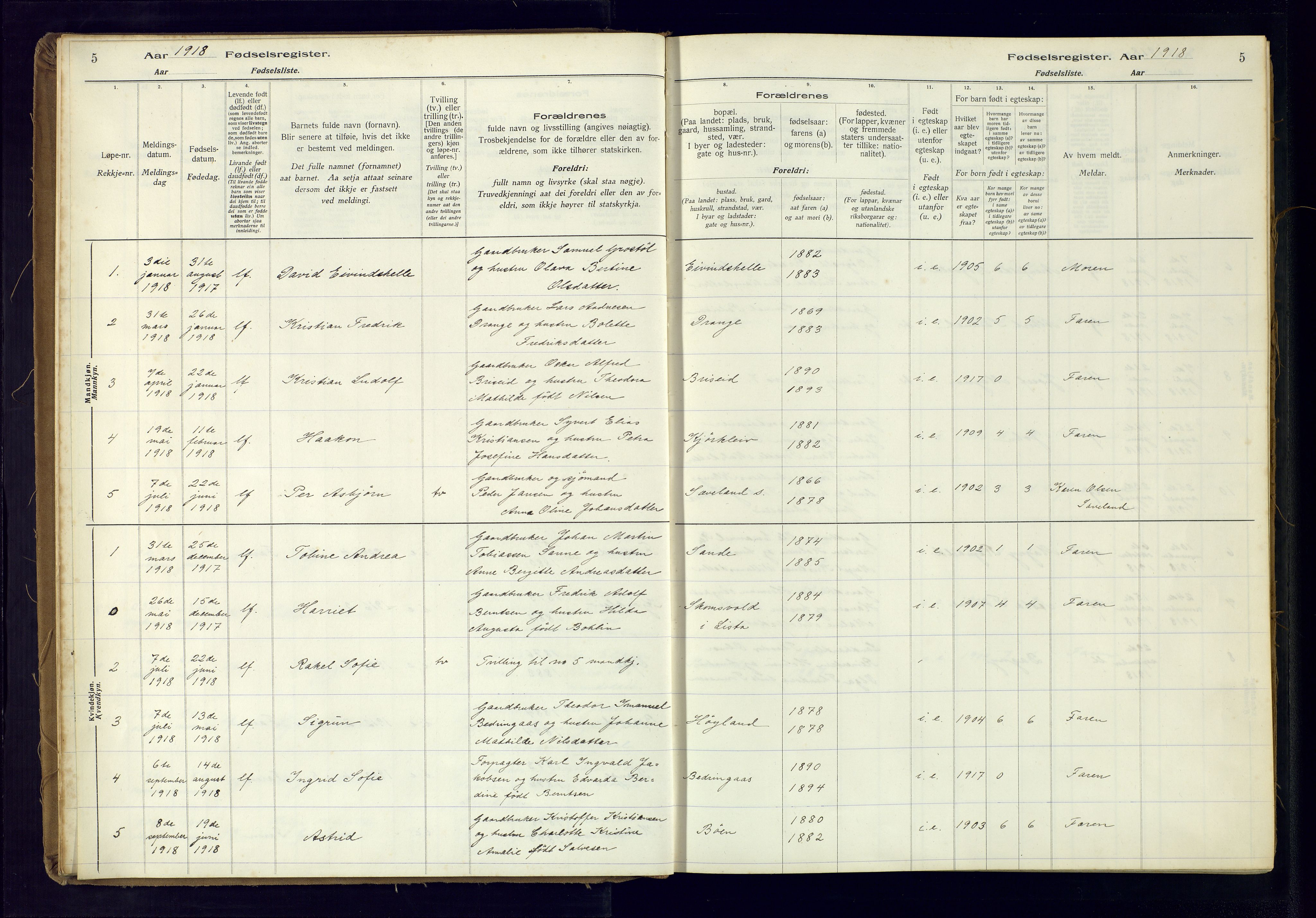 Herad sokneprestkontor, AV/SAK-1111-0018/J/Ja/L0001: Birth register no. A-VI-12, 1916-1981, p. 5