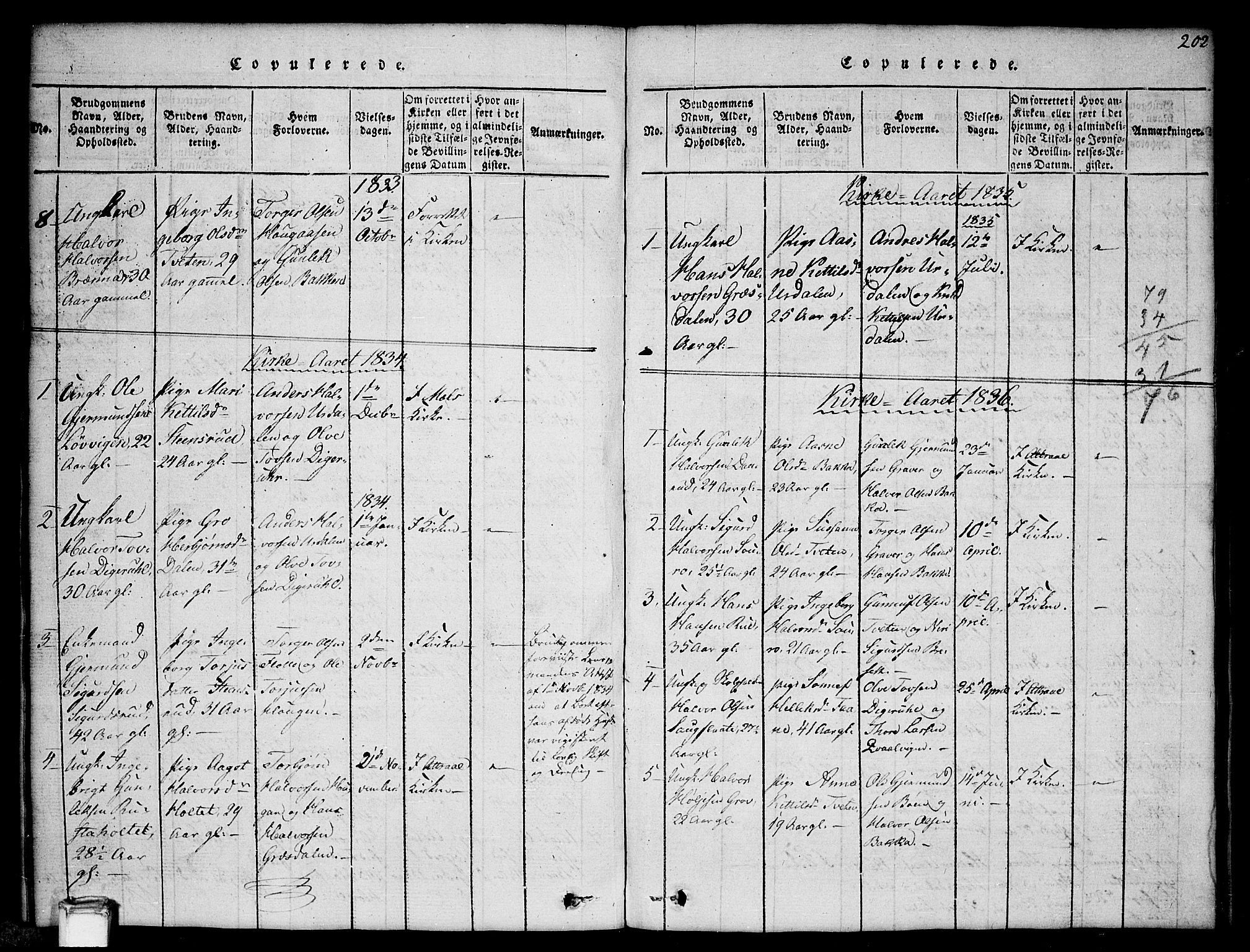 Gransherad kirkebøker, SAKO/A-267/G/Gb/L0001: Parish register (copy) no. II 1, 1815-1860, p. 202