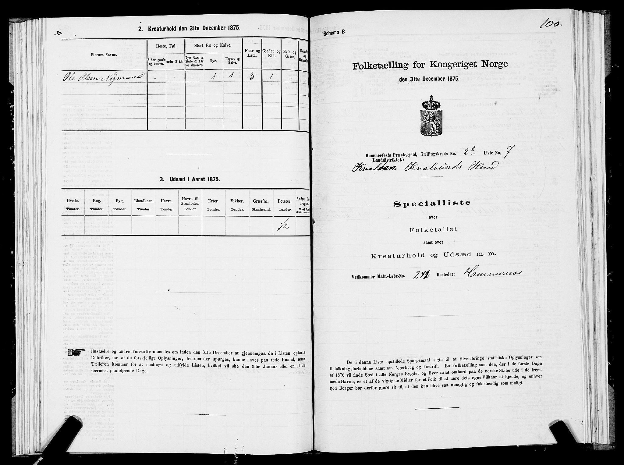 SATØ, 1875 census for 2016L Hammerfest/Hammerfest og Kvalsund, 1875, p. 2100