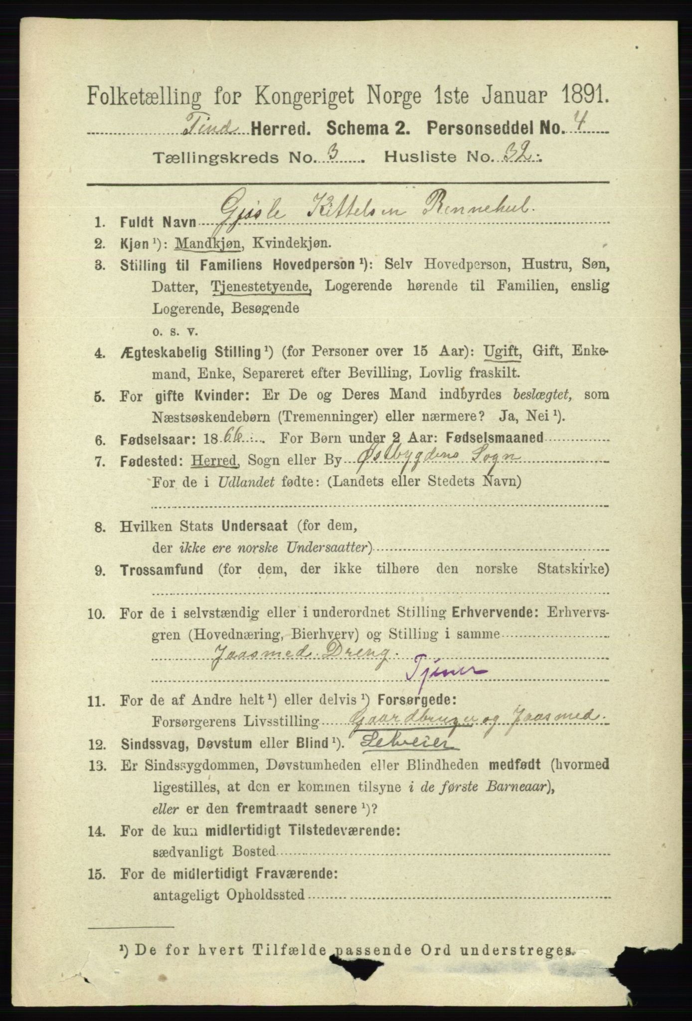 RA, 1891 census for 0826 Tinn, 1891, p. 675