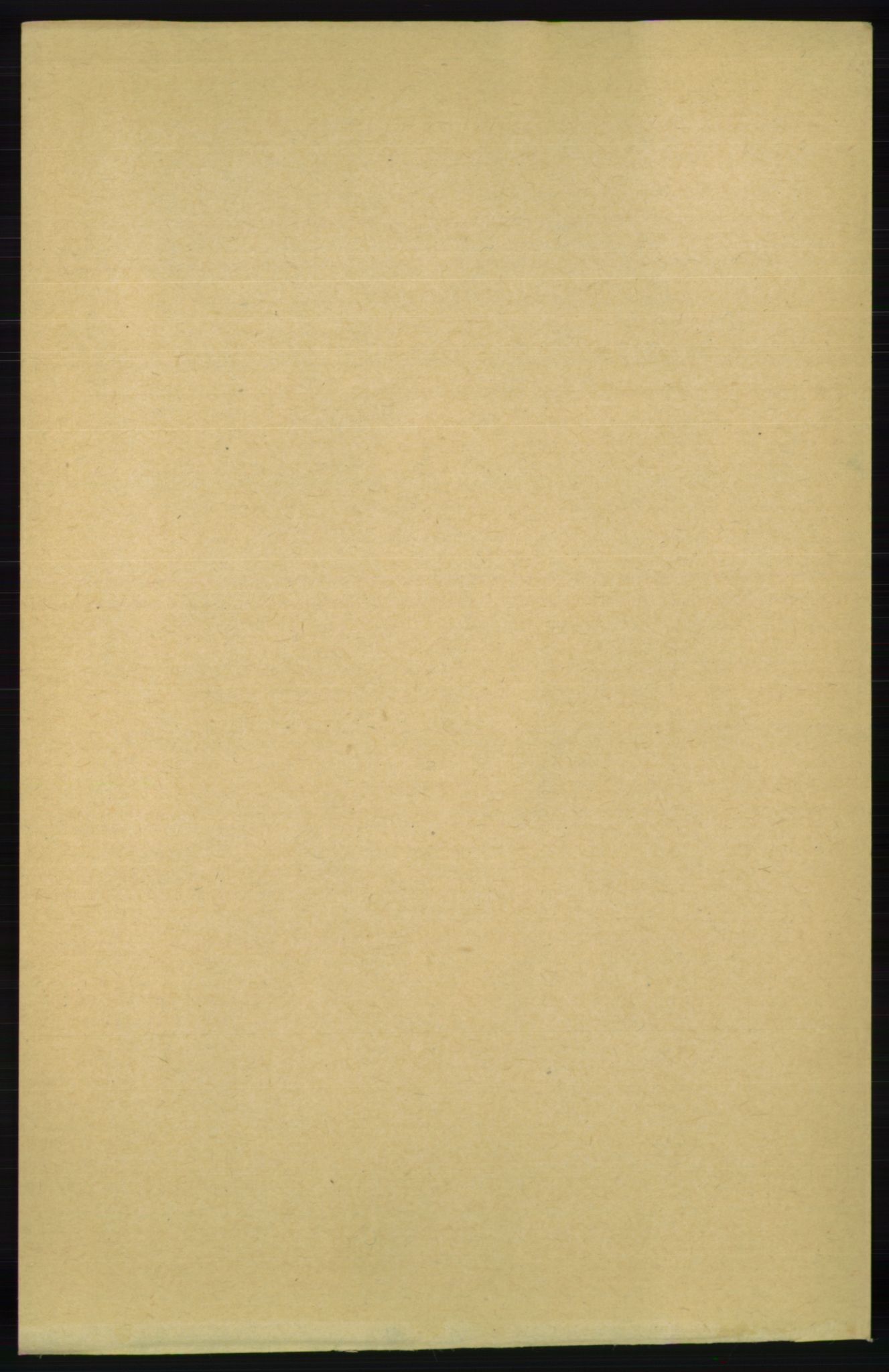 RA, 1891 census for 1014 Vennesla, 1891, p. 1591