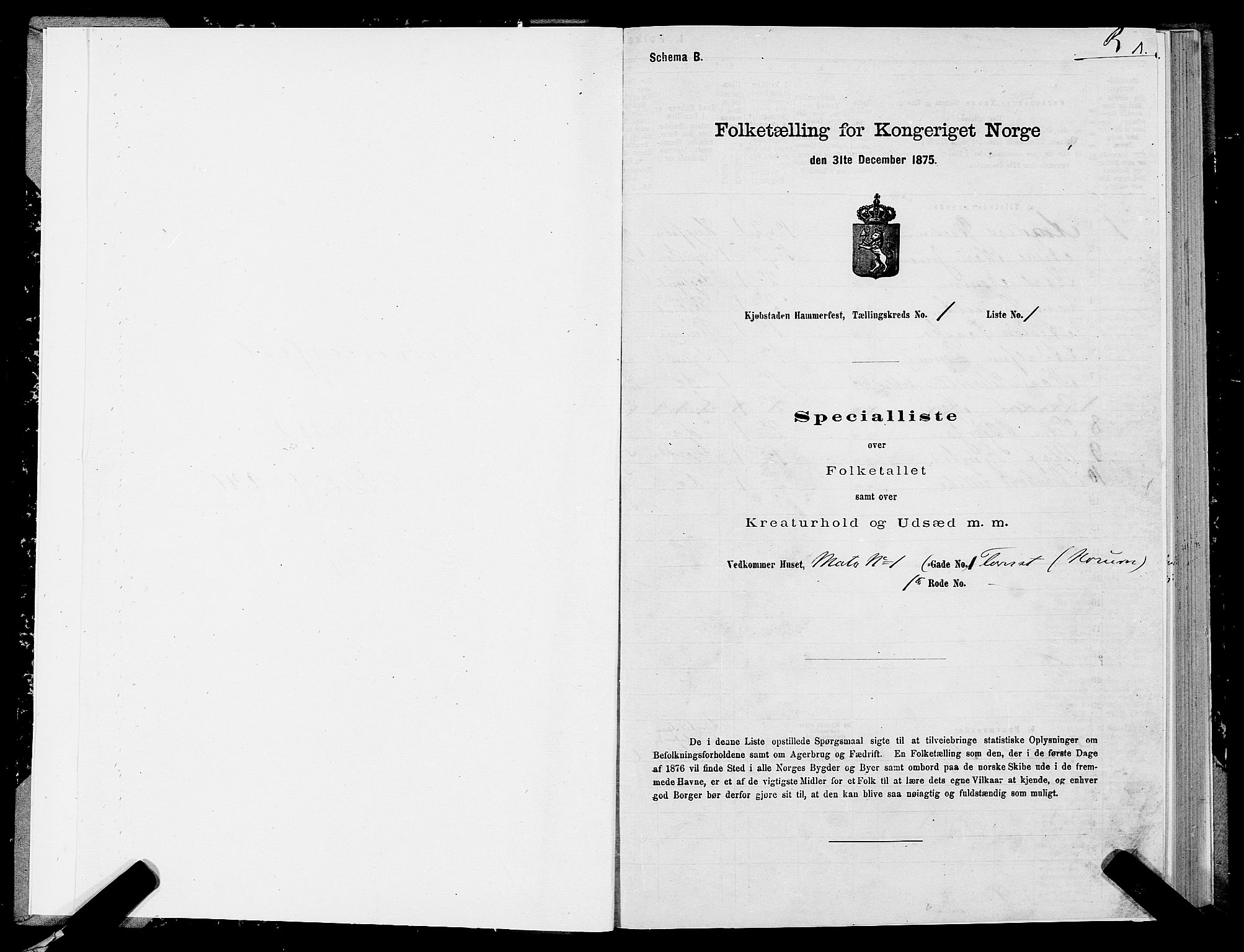 SATØ, 1875 census for 2001B Hammerfest/Hammerfest, 1875, p. 1001