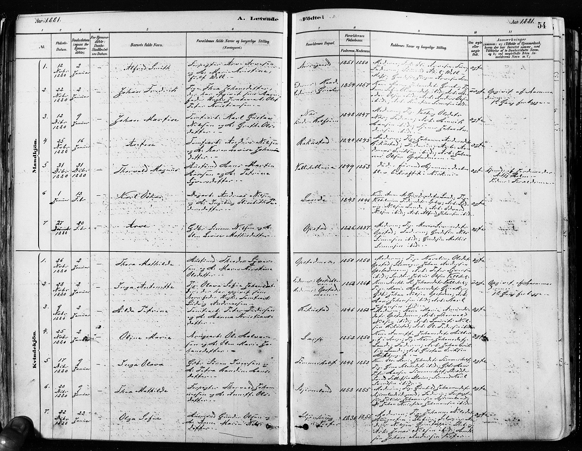 Tune prestekontor Kirkebøker, SAO/A-2007/F/Fa/L0017: Parish register (official) no. 17, 1878-1887, p. 54