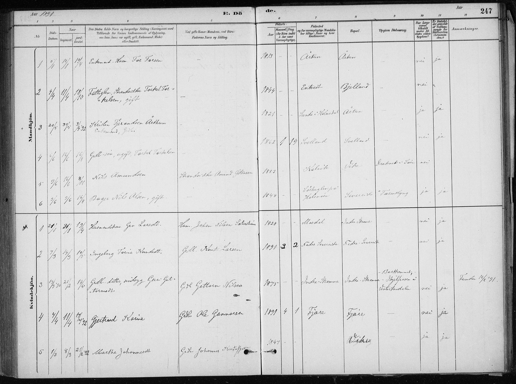 Skånevik sokneprestembete, SAB/A-77801/H/Haa: Parish register (official) no. E  1, 1879-1901, p. 247