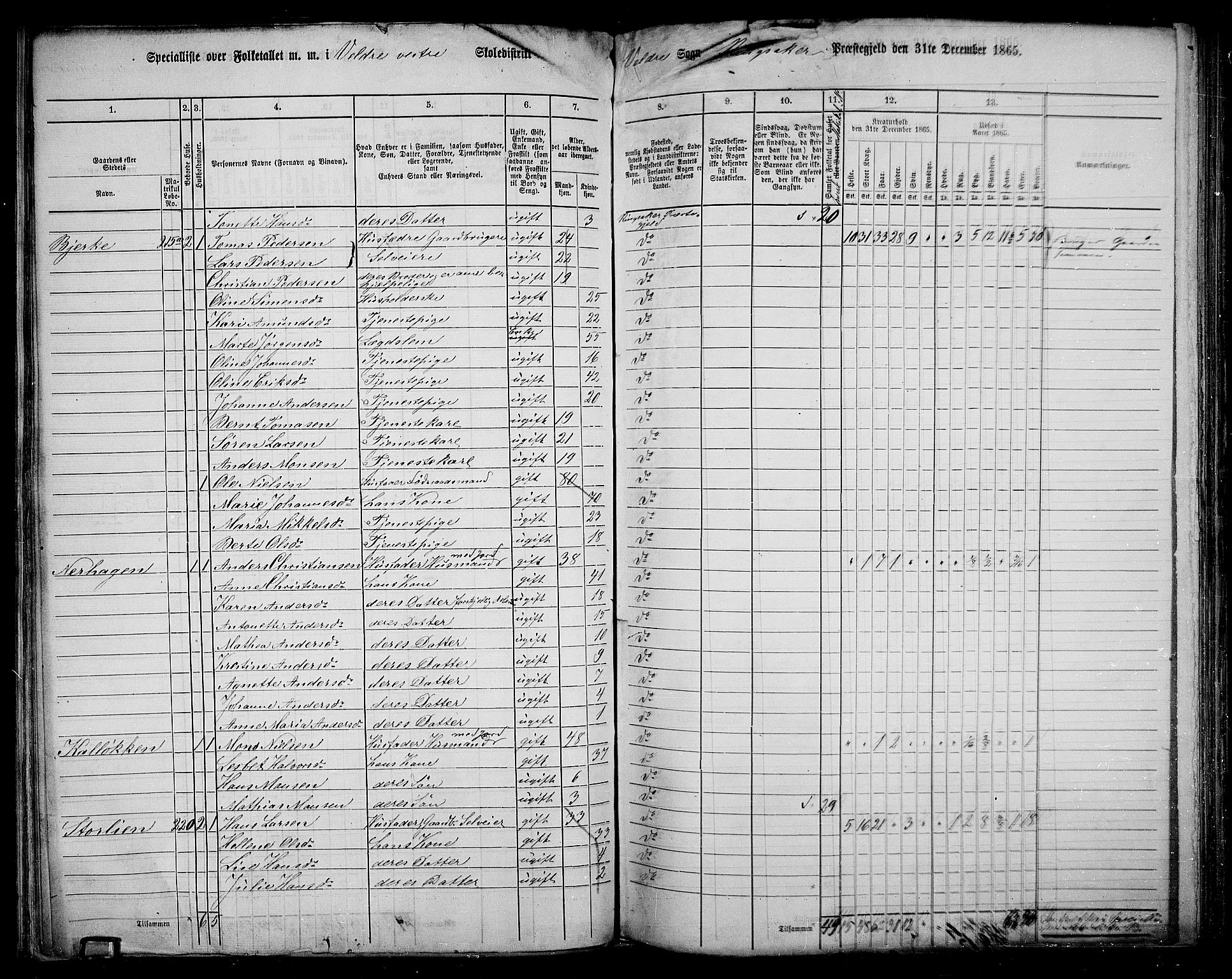 RA, 1865 census for Ringsaker, 1865, p. 163