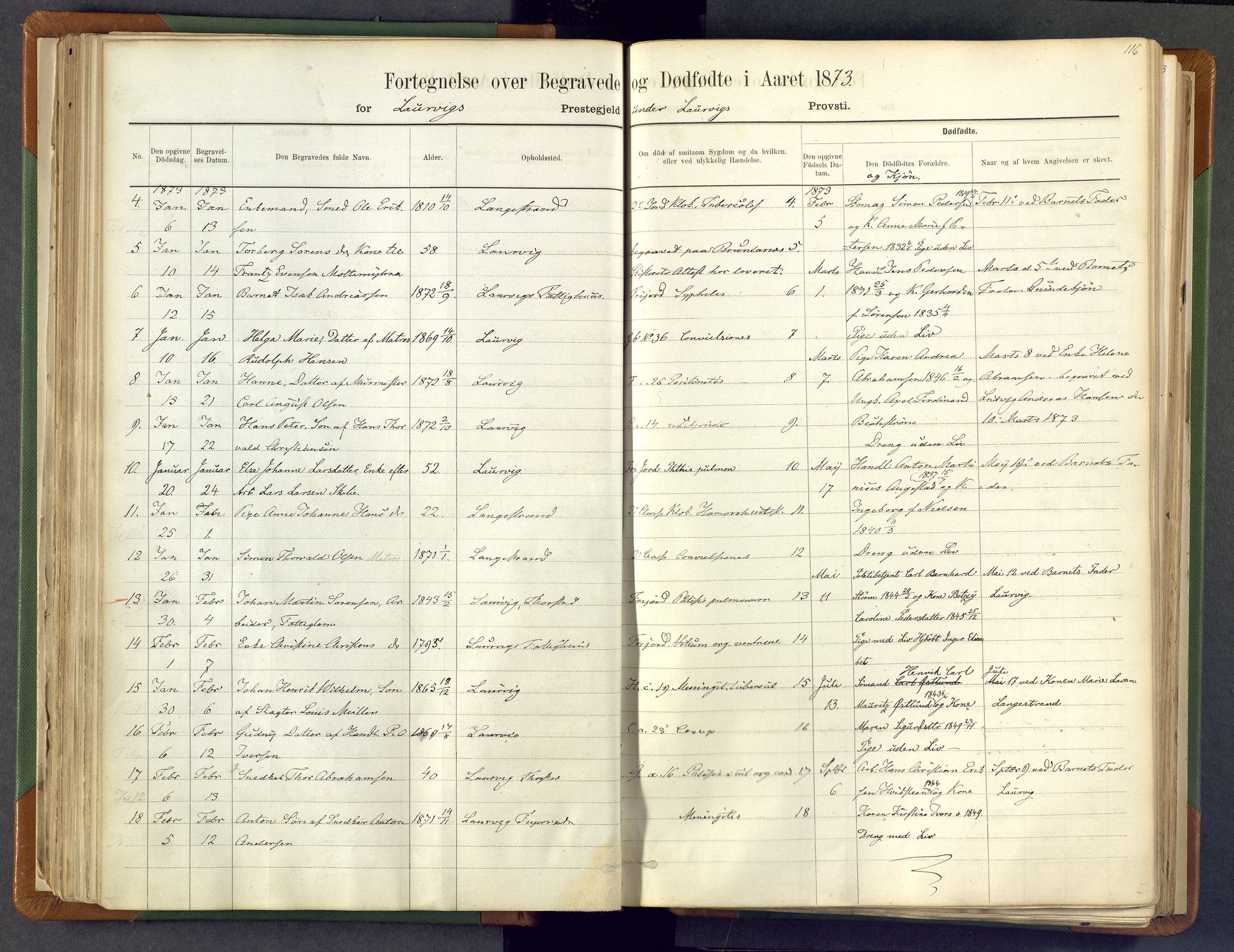 Larvik kirkebøker, AV/SAKO-A-352/F/Fa/L0007: Parish register (official) no. I 7, 1871-1883, p. 116