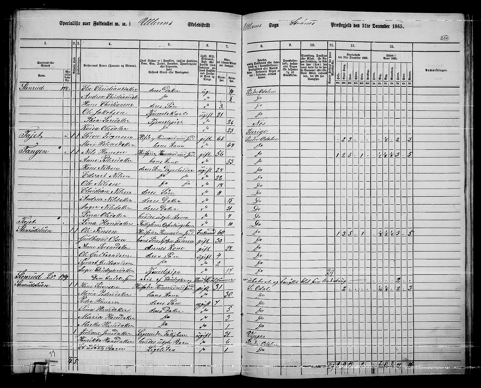 RA, 1865 census for Sør-Odal, 1865, p. 248