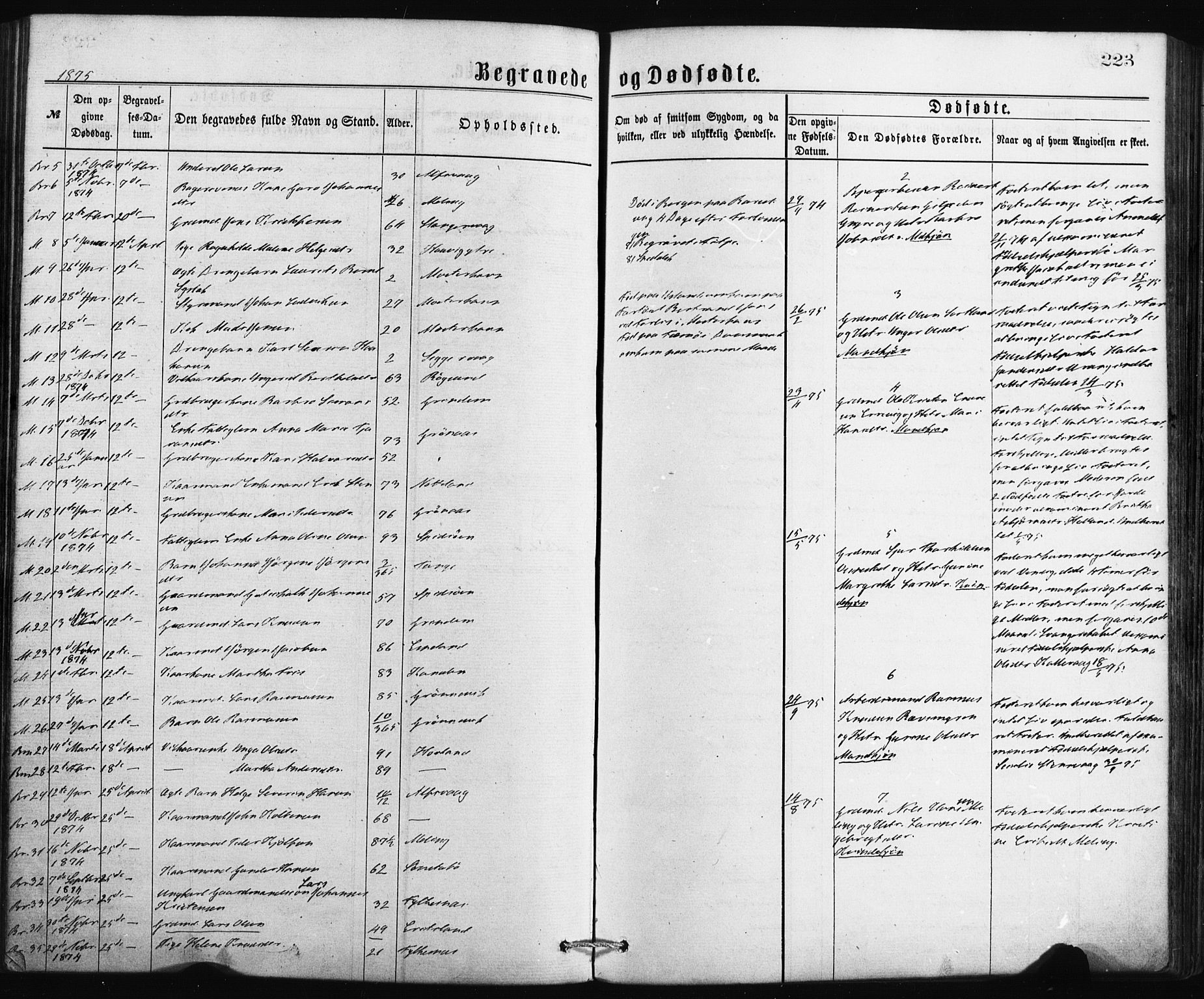 Finnås sokneprestembete, AV/SAB-A-99925/H/Ha/Haa/Haaa/L0009: Parish register (official) no. A 9, 1873-1881, p. 223