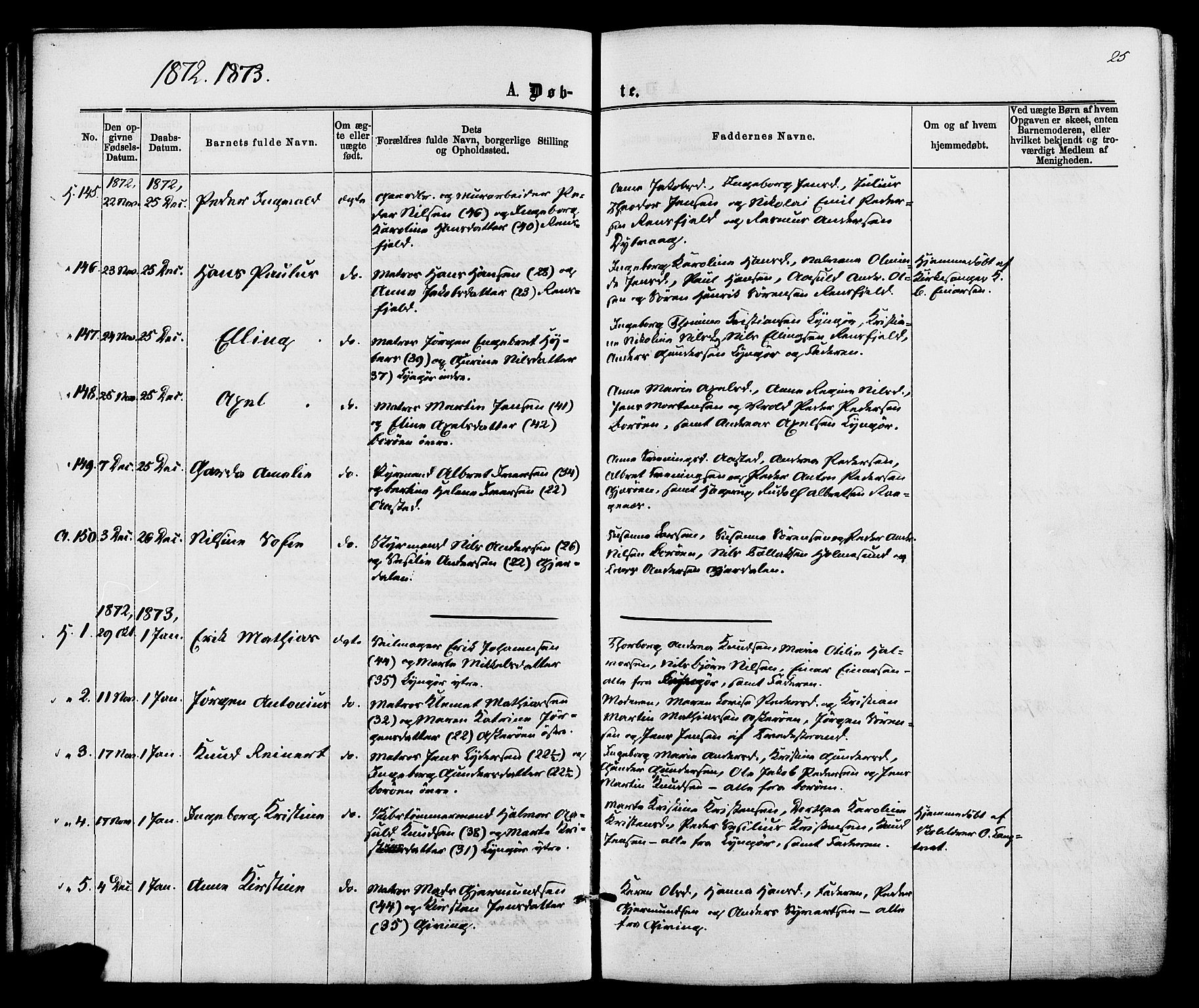 Dypvåg sokneprestkontor, SAK/1111-0007/F/Fa/Faa/L0007: Parish register (official) no. A 7/ 1, 1872-1884, p. 25