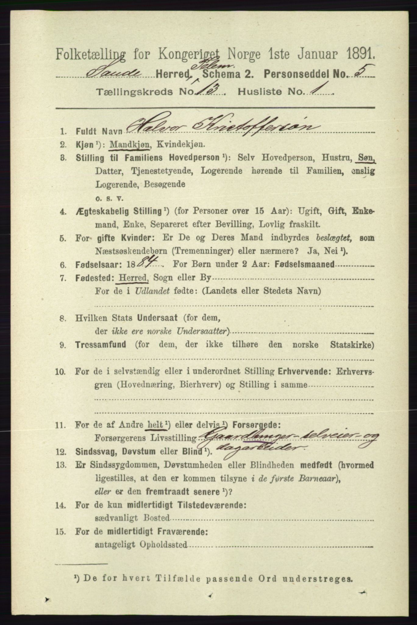 RA, 1891 census for 0822 Sauherad, 1891, p. 3909