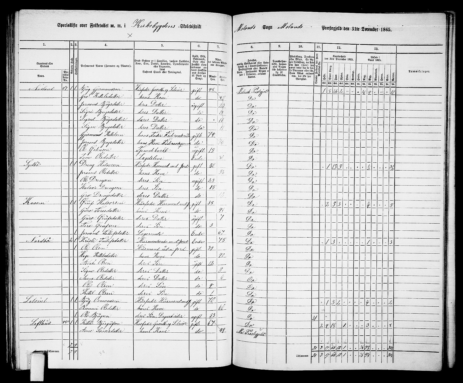 RA, 1865 census for Moland, 1865, p. 48