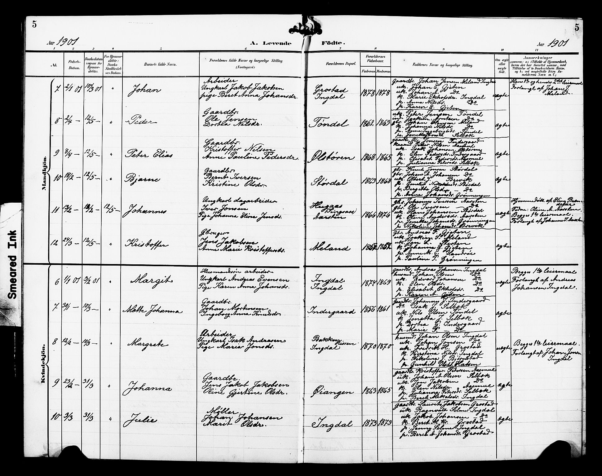 Ministerialprotokoller, klokkerbøker og fødselsregistre - Sør-Trøndelag, SAT/A-1456/663/L0763: Parish register (copy) no. 663C03, 1899-1908, p. 5