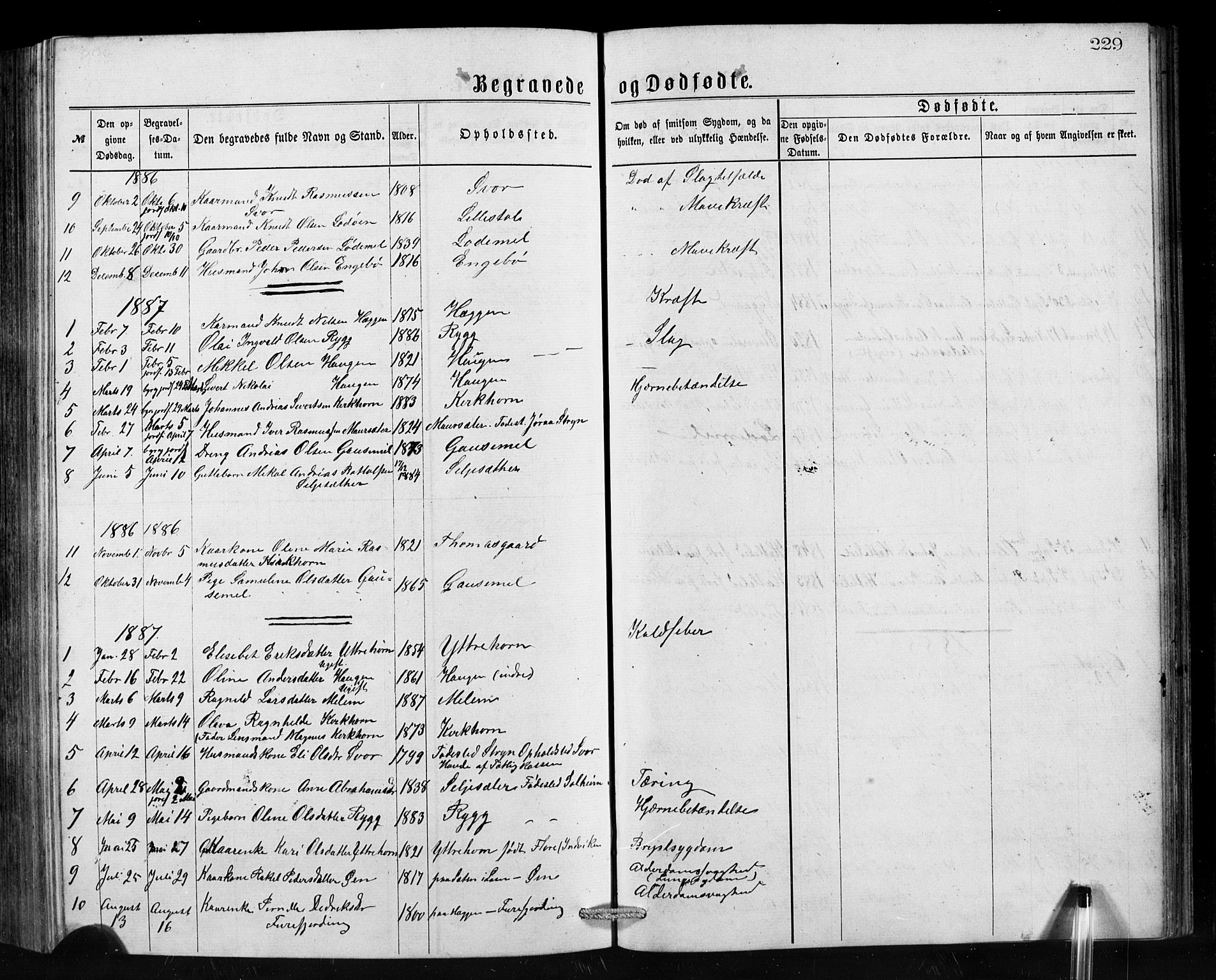 Hornindal sokneprestembete, SAB/A-82401/H/Hab: Parish register (copy) no. A 1, 1876-1894, p. 229