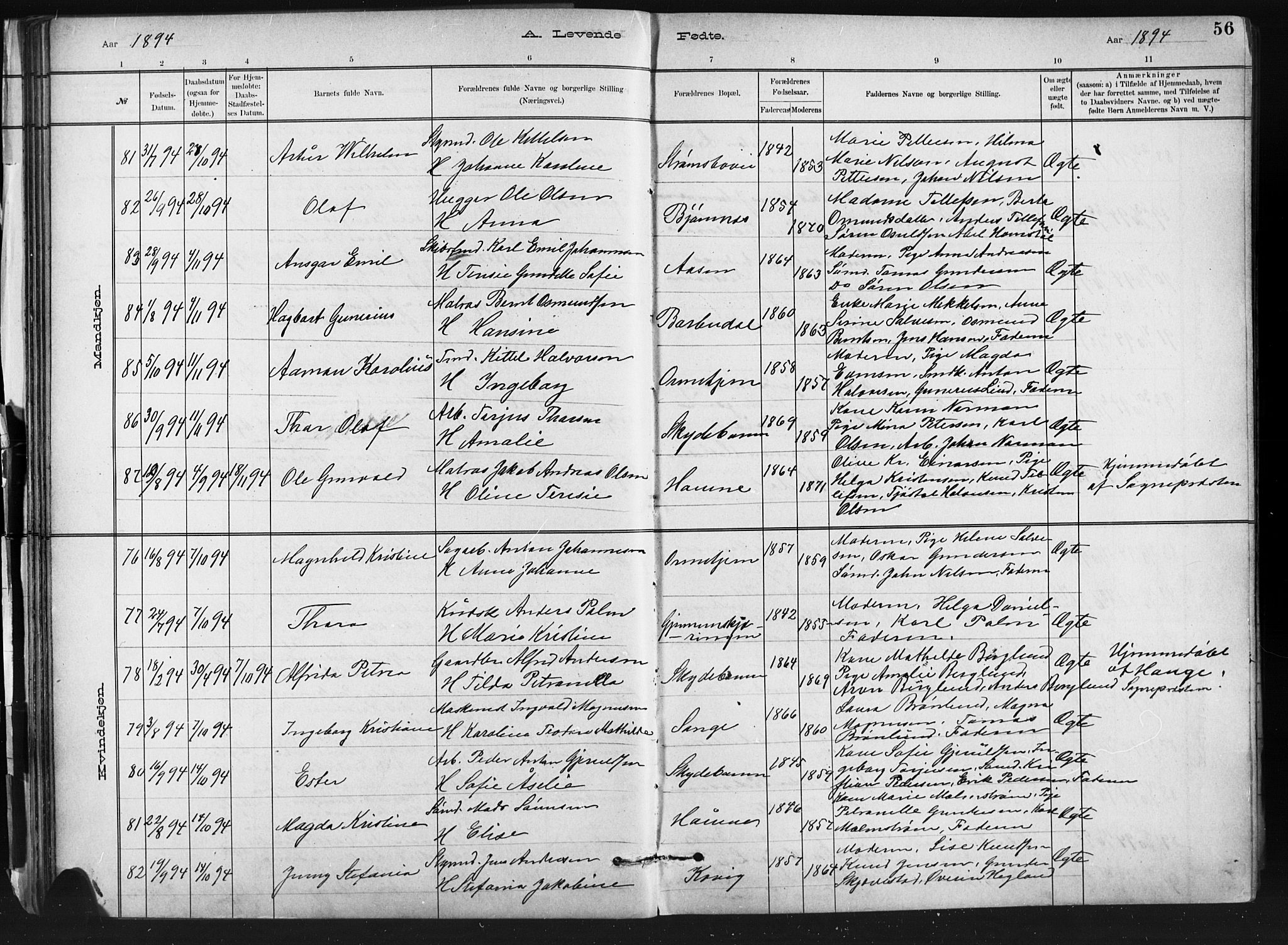 Barbu sokneprestkontor, AV/SAK-1111-0003/F/Fb/L0002: Parish register (copy) no. B 2, 1890-1922, p. 56