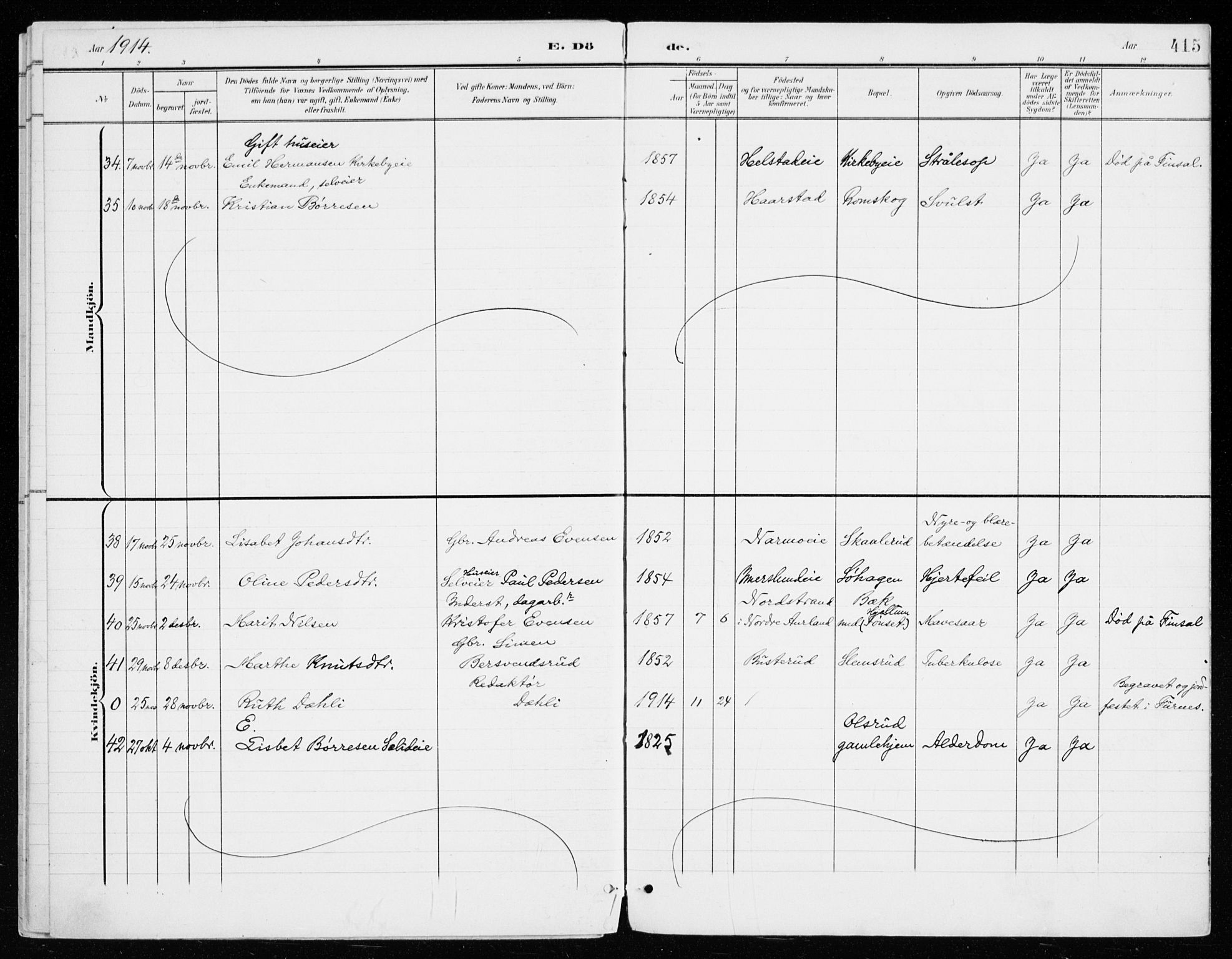 Vang prestekontor, Hedmark, AV/SAH-PREST-008/H/Ha/Haa/L0021: Parish register (official) no. 21, 1902-1917, p. 415